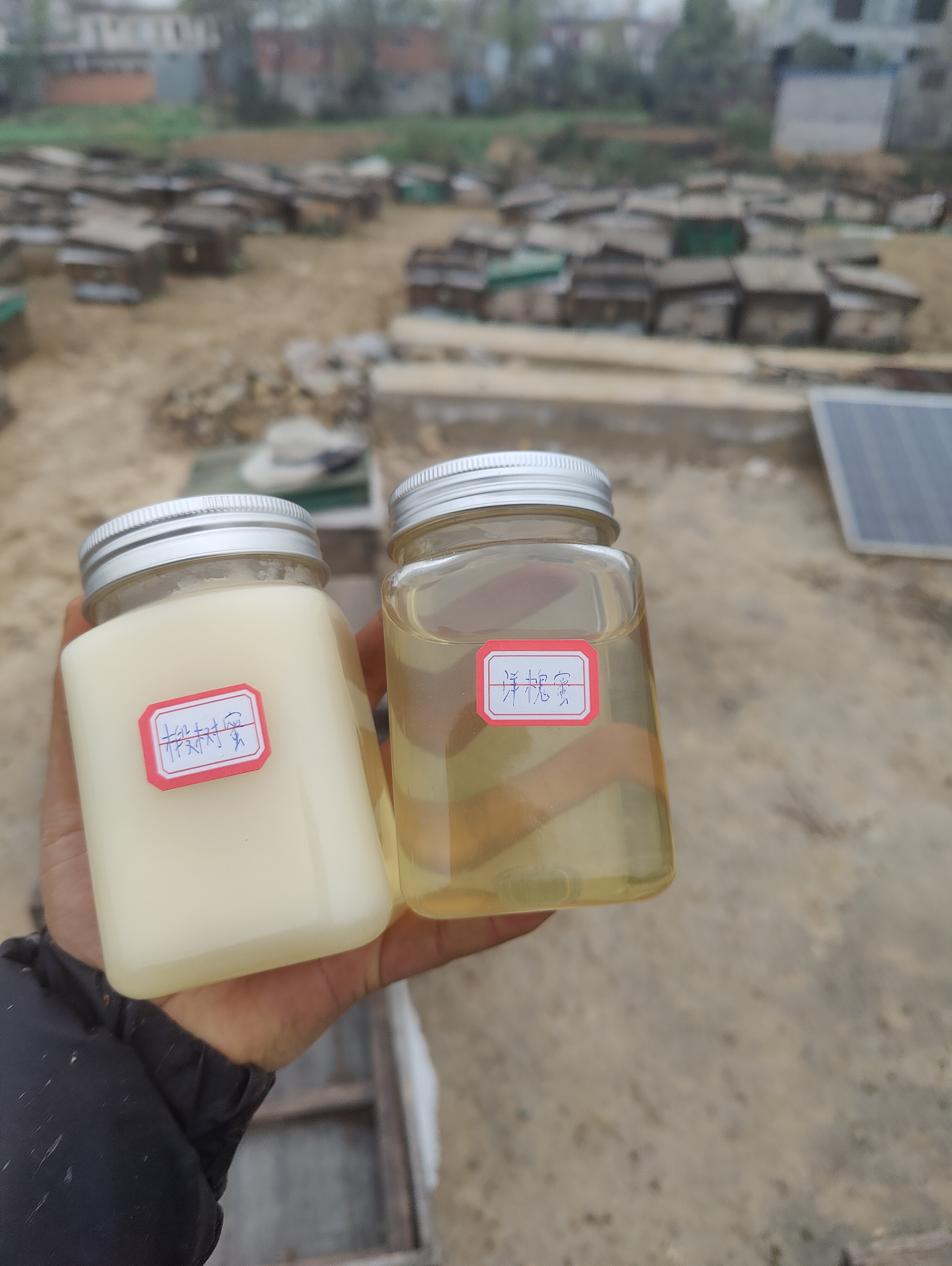 蜂蜜结晶怎么回事是假的吗(蜂蜜结晶是正常现象吗)