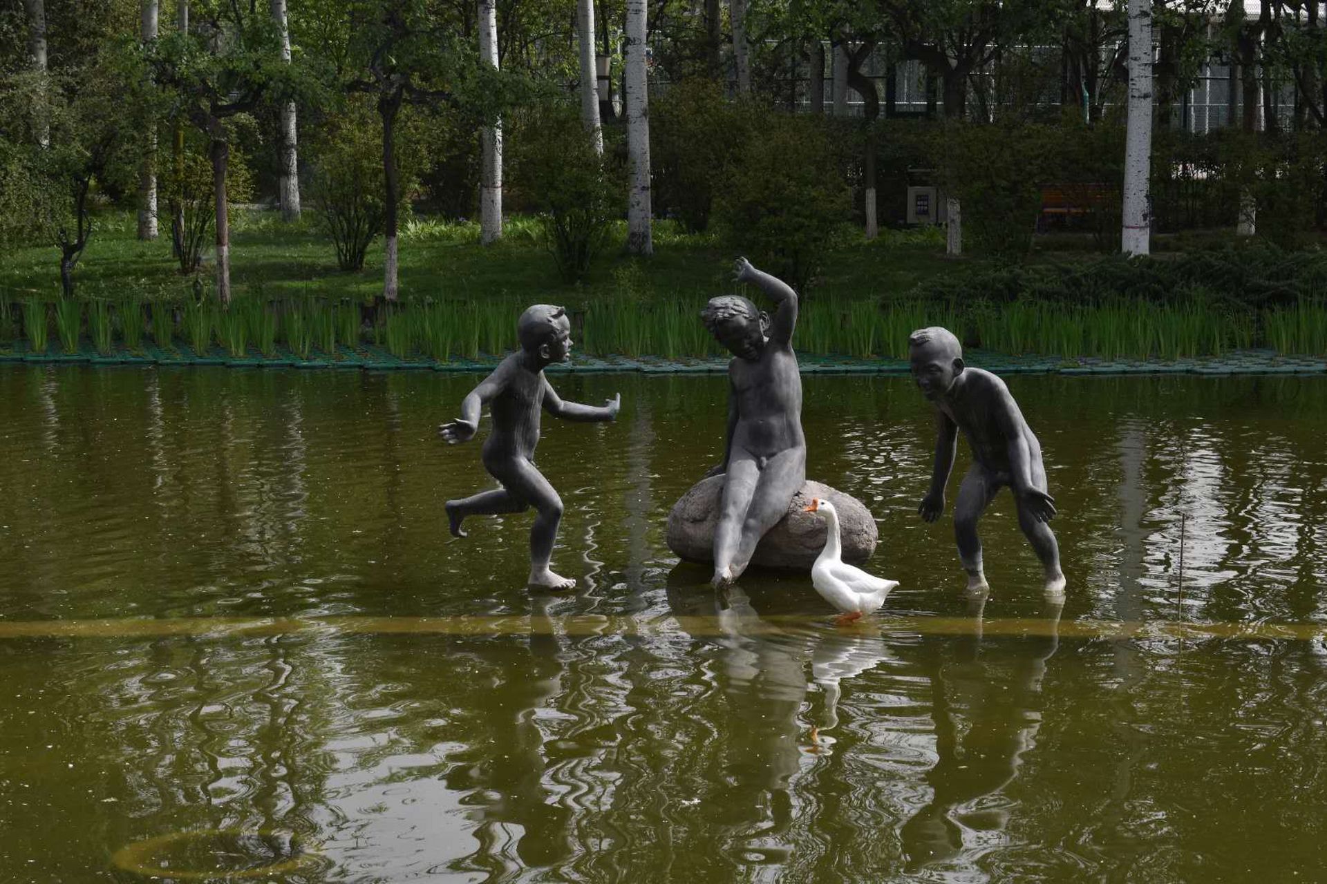 西安运动公园湖中这只鹅围着雕塑小憩,雕塑中的孩子似乎和它形成了