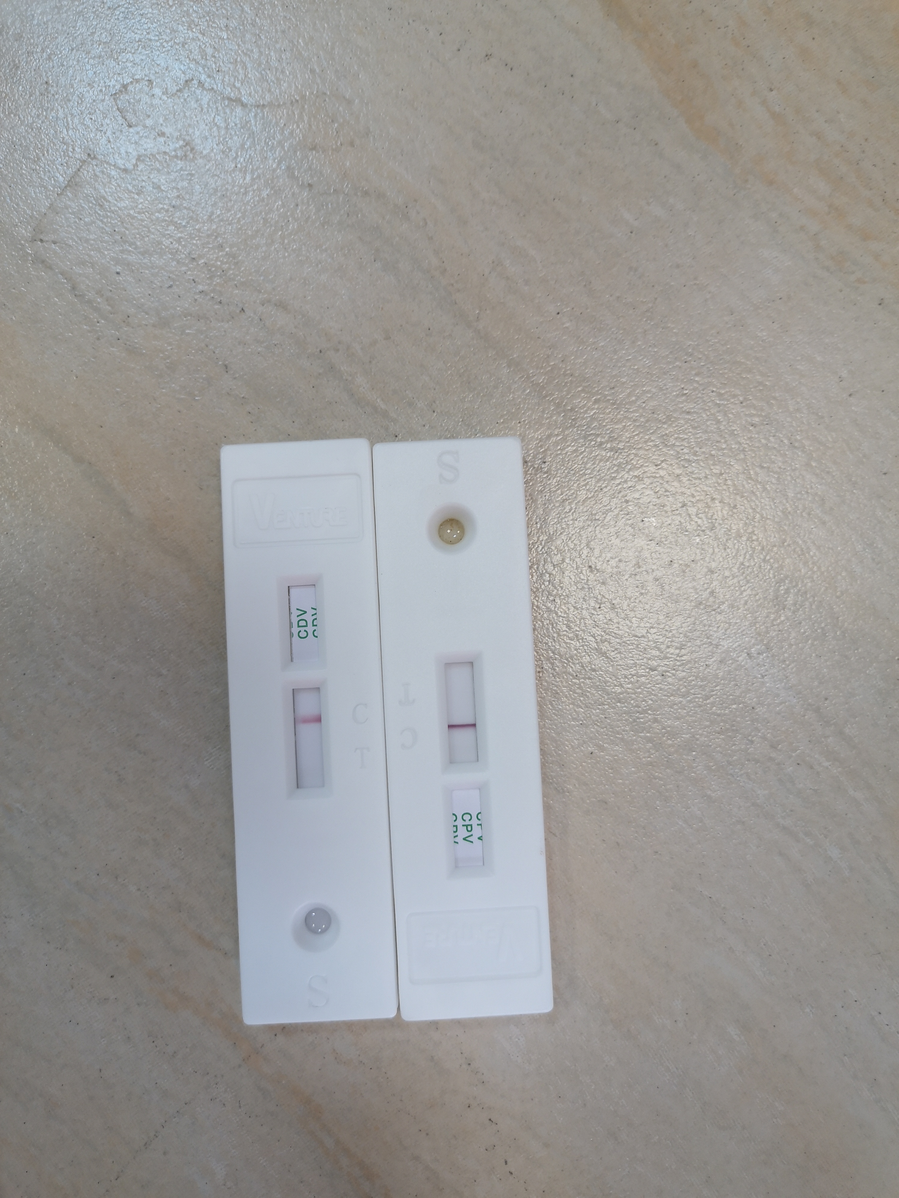 小狗测试犬瘟和细小,这样检测结果是健康的吗?