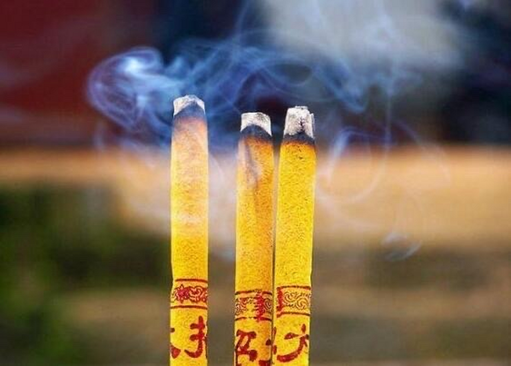 生肖兔  属兔的朋友等到了年底,疾厄宫有"禄存""天钺"吉星庇佑,有望