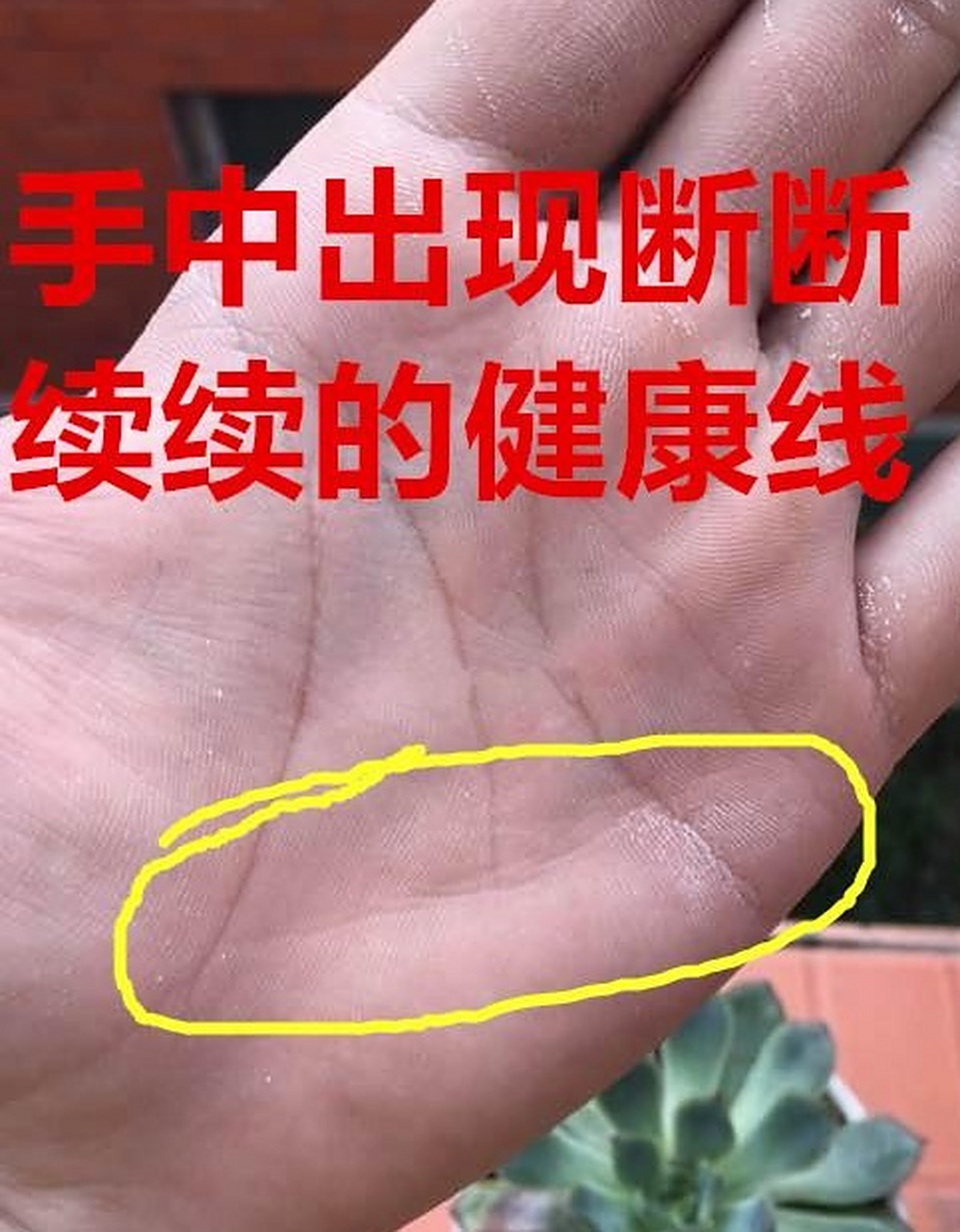 你的手相上出现了断断续续的健康线,健康线就是冲向小指的线路,没有