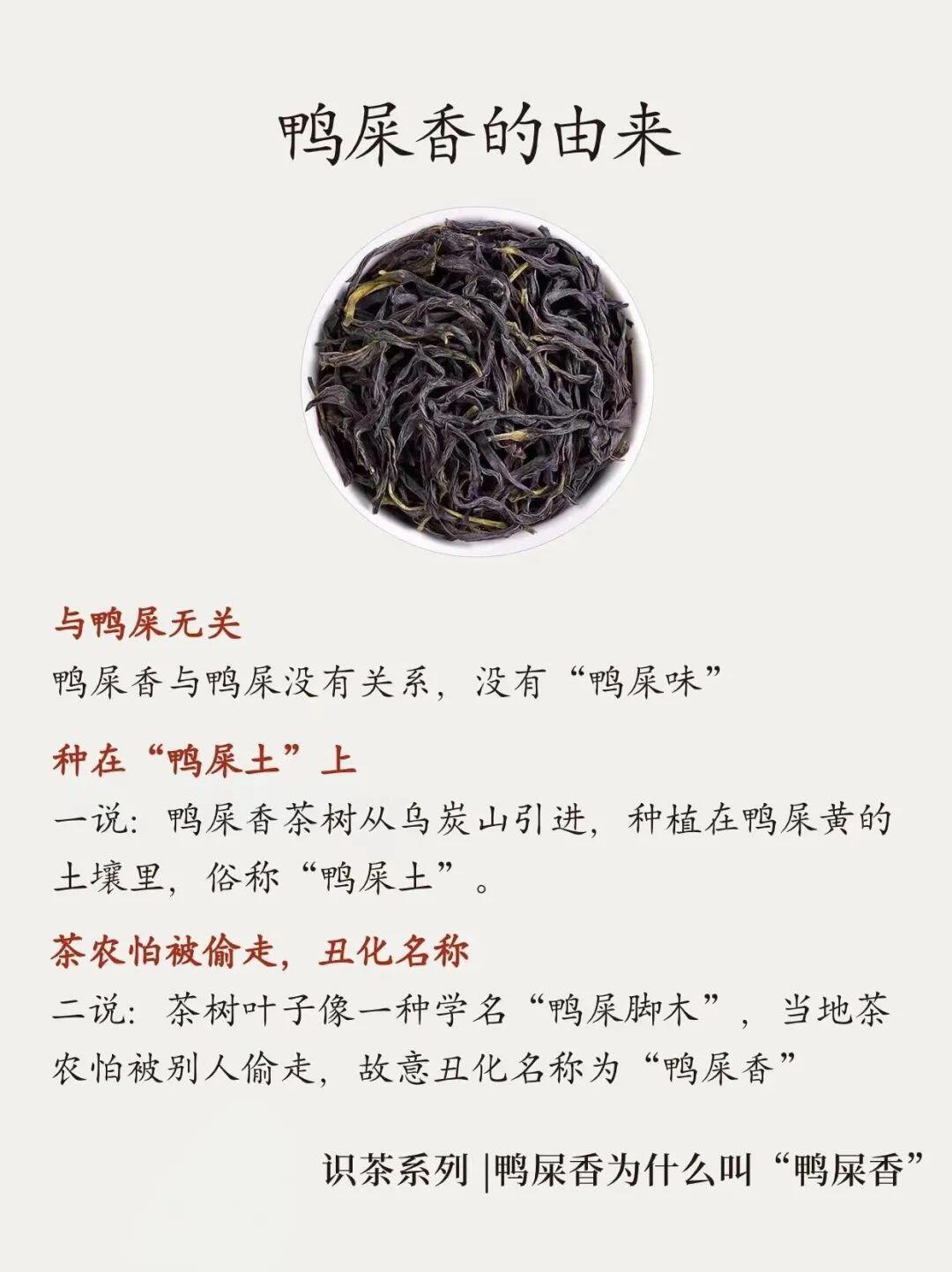 屎是什么味道?好吃吗?图片