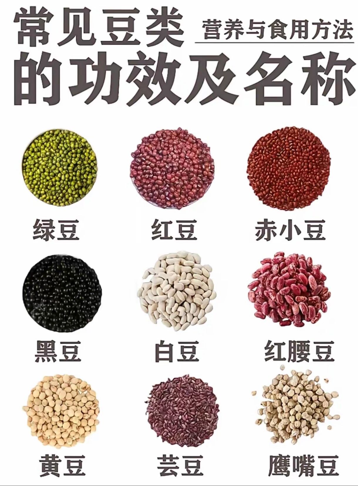 豆类的那些冷知识!