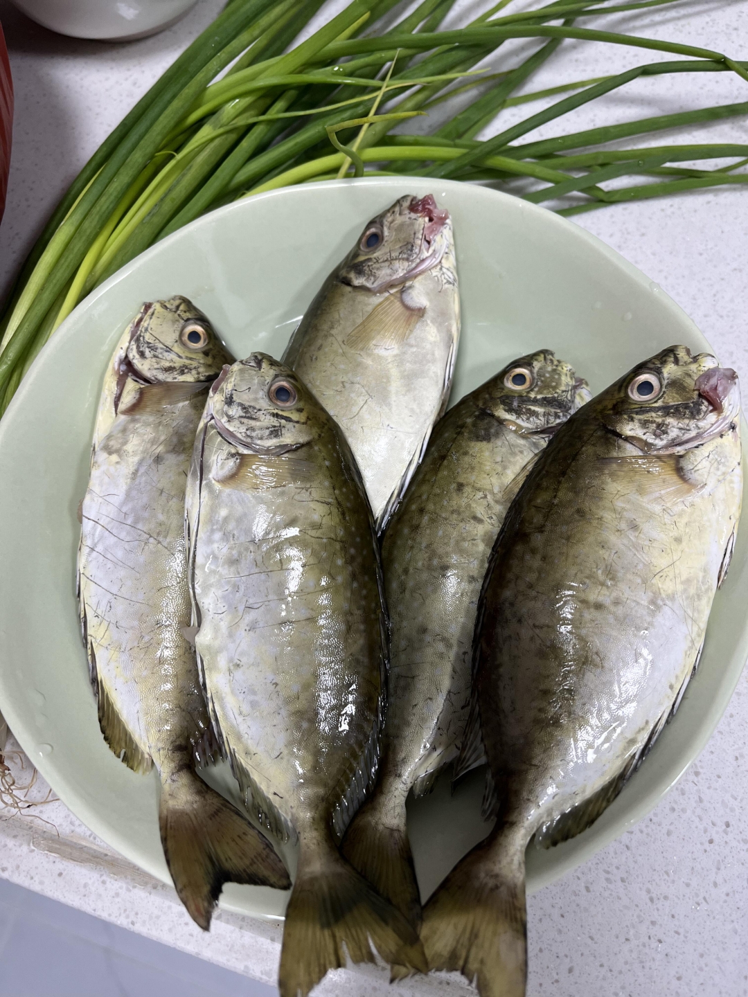 这是什么鱼?32块钱一斤