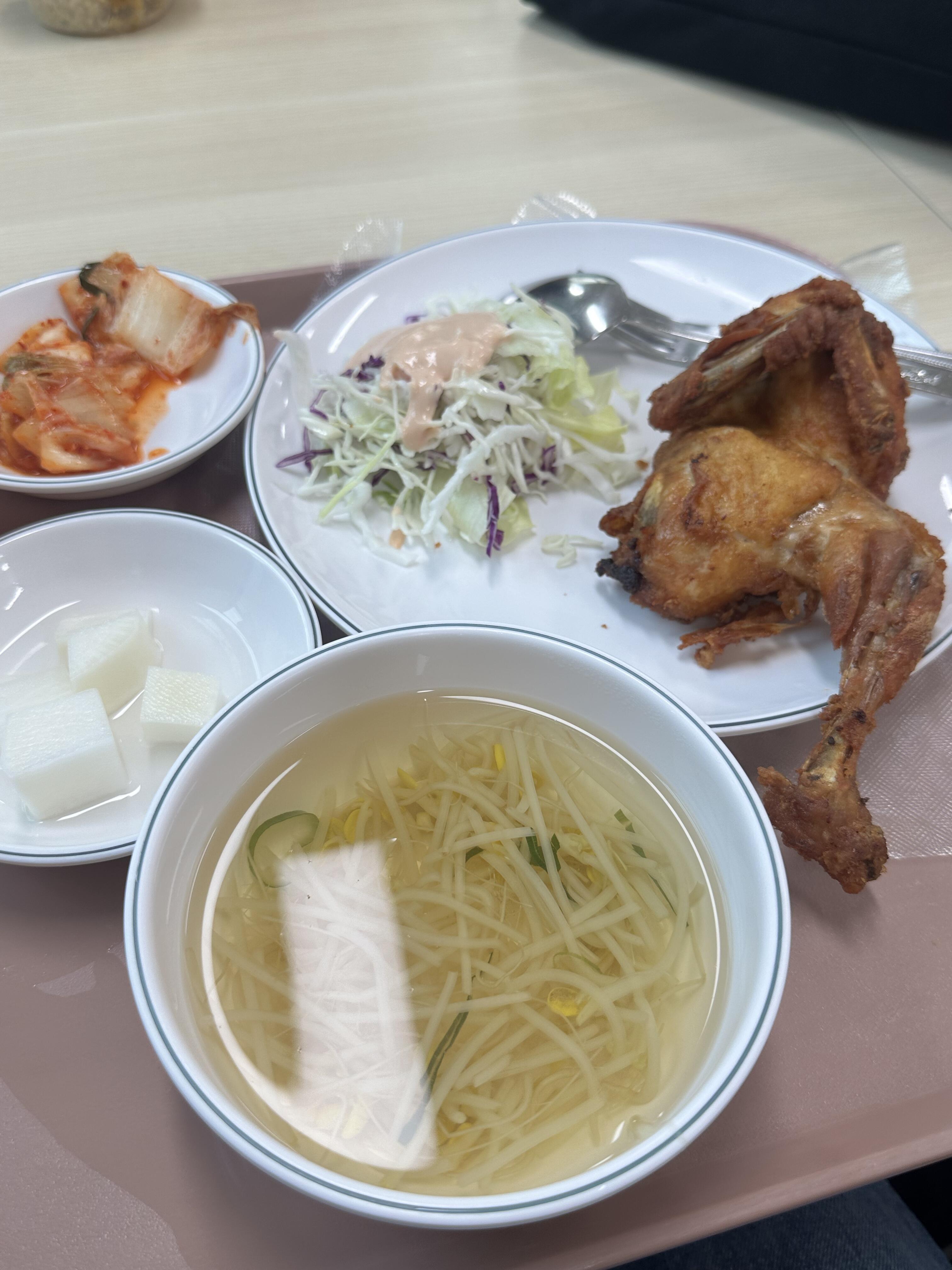 首尔大学食堂午饭