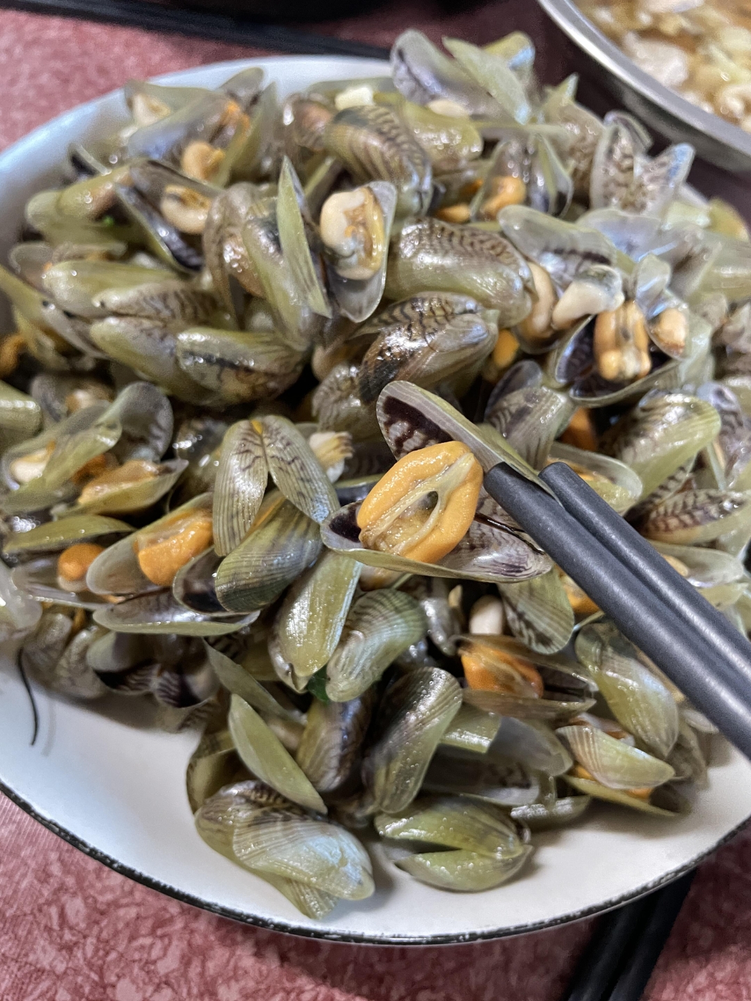 薄壳,海瓜子已经接近一年中最肥的时候了