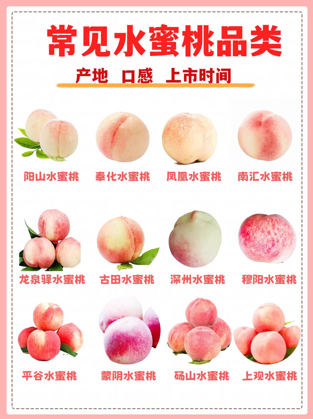 常见水蜜桃种类,谁才是水蜜桃中的王者?