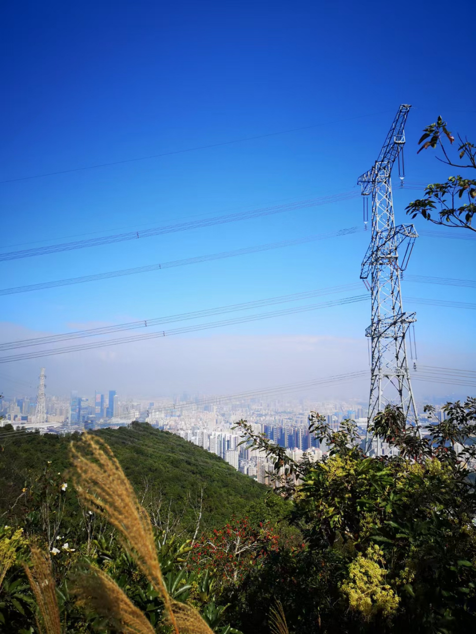 记录我的周末时光 深圳梅林山公园位于深圳福田区,与塘朗山公园相连