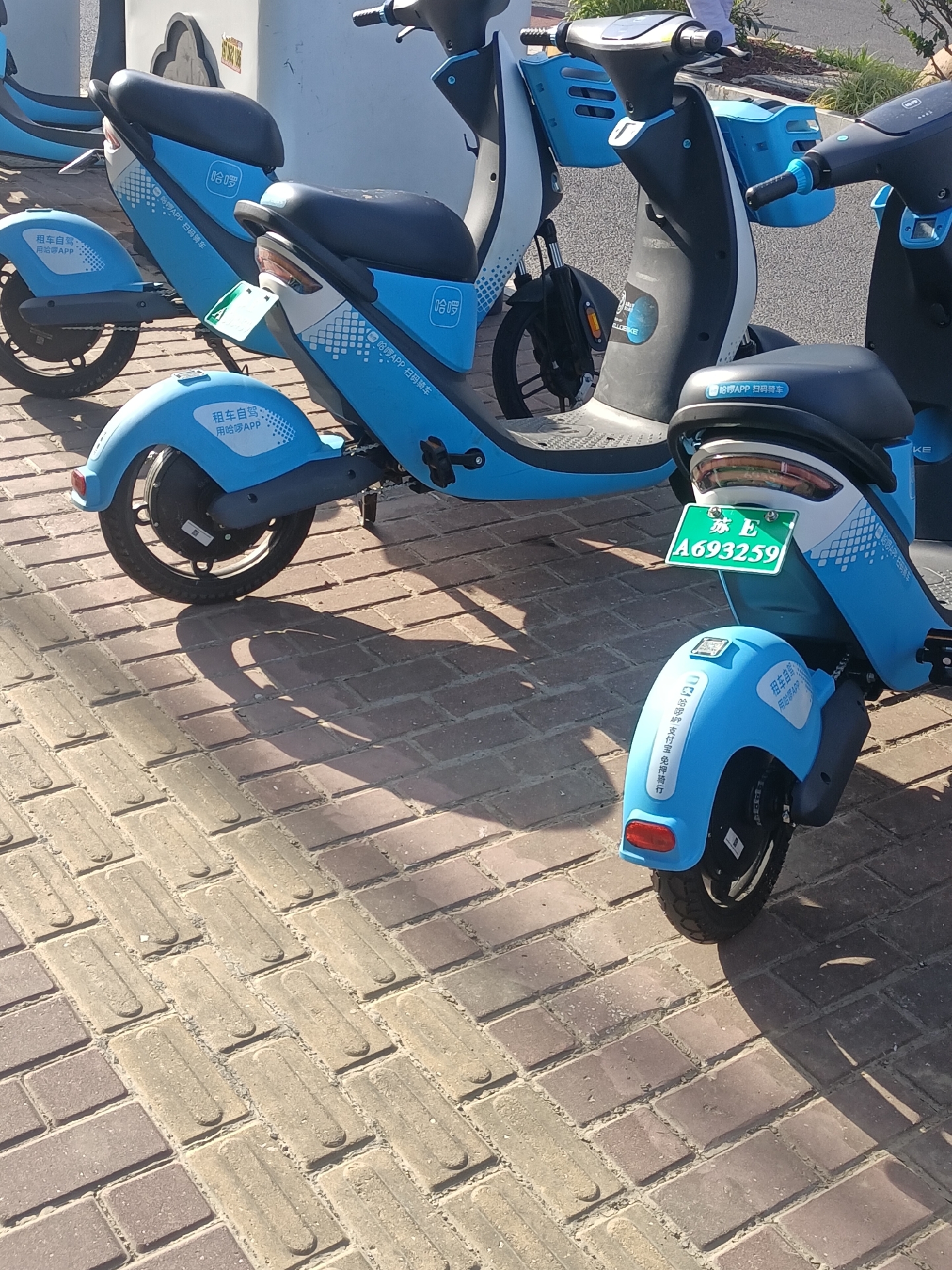 它们,正是那便捷出行的共享电动自行车,让每一次出行都充满时尚与轻松