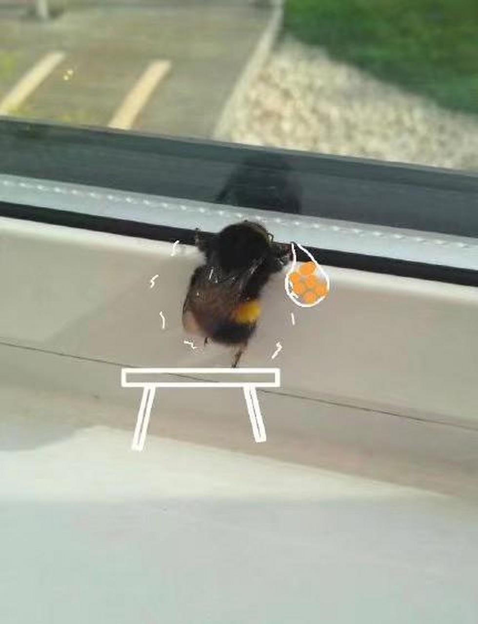 又找到几张熊峰的图片(~▽~)