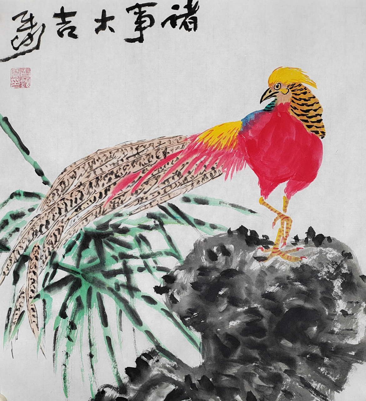 红腹锦鸡是近几年我们这边的山里发现的一种珍禽,火红一团,十分漂亮