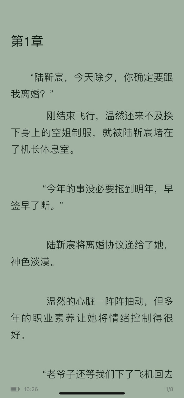 抖音温然陆靳宸机长小说《蓝天之上,飞云之下》温然陆靳宸小说全文