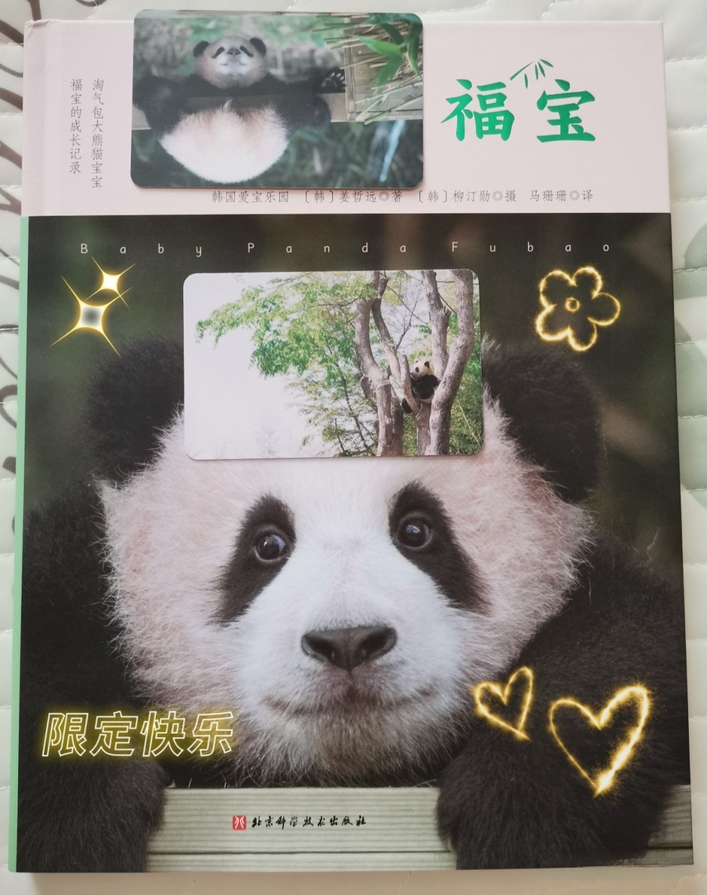 带来幸福的宝物💫,就是我们可爱聪明的福宝福公主了✨