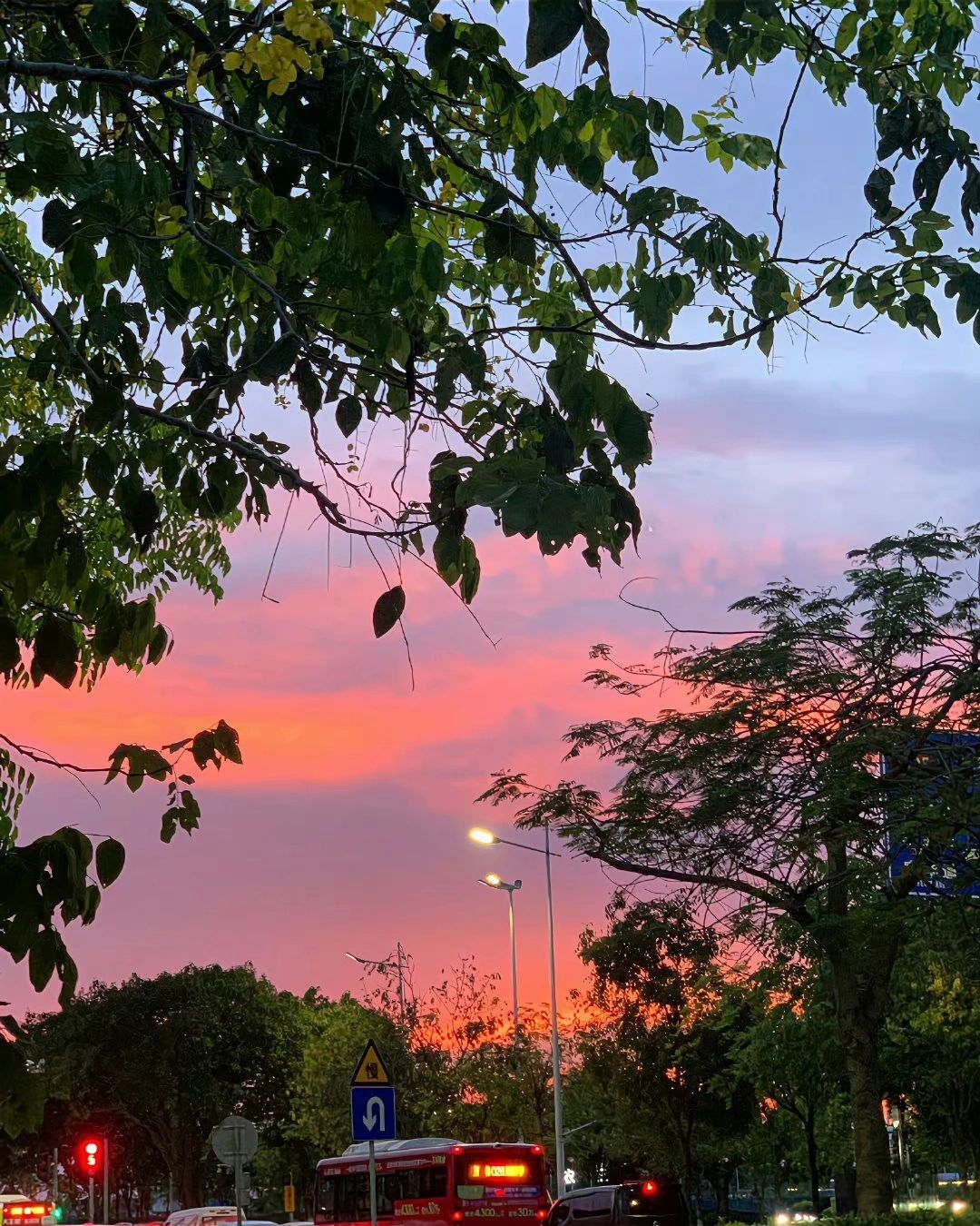 落日余晖中,繁忙的街角被温柔的粉红色调浸染,车辆穿梭,行人匆匆,生活