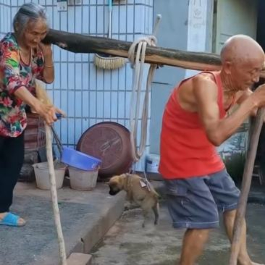 看到一对七旬老人夫妻,肩上抬着重物,走得还挺稳的,配合非常默契.