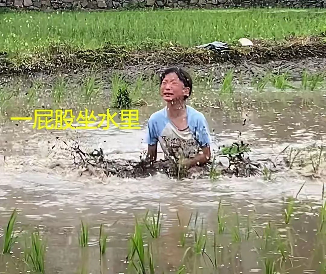 湖北小女孩被拉去插秧崩溃大哭,妈妈仍然固执己见:总
