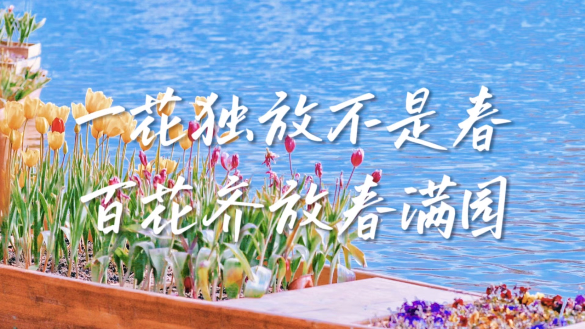家有高中生,高考真题练习3:吹灭别人的灯并不会让