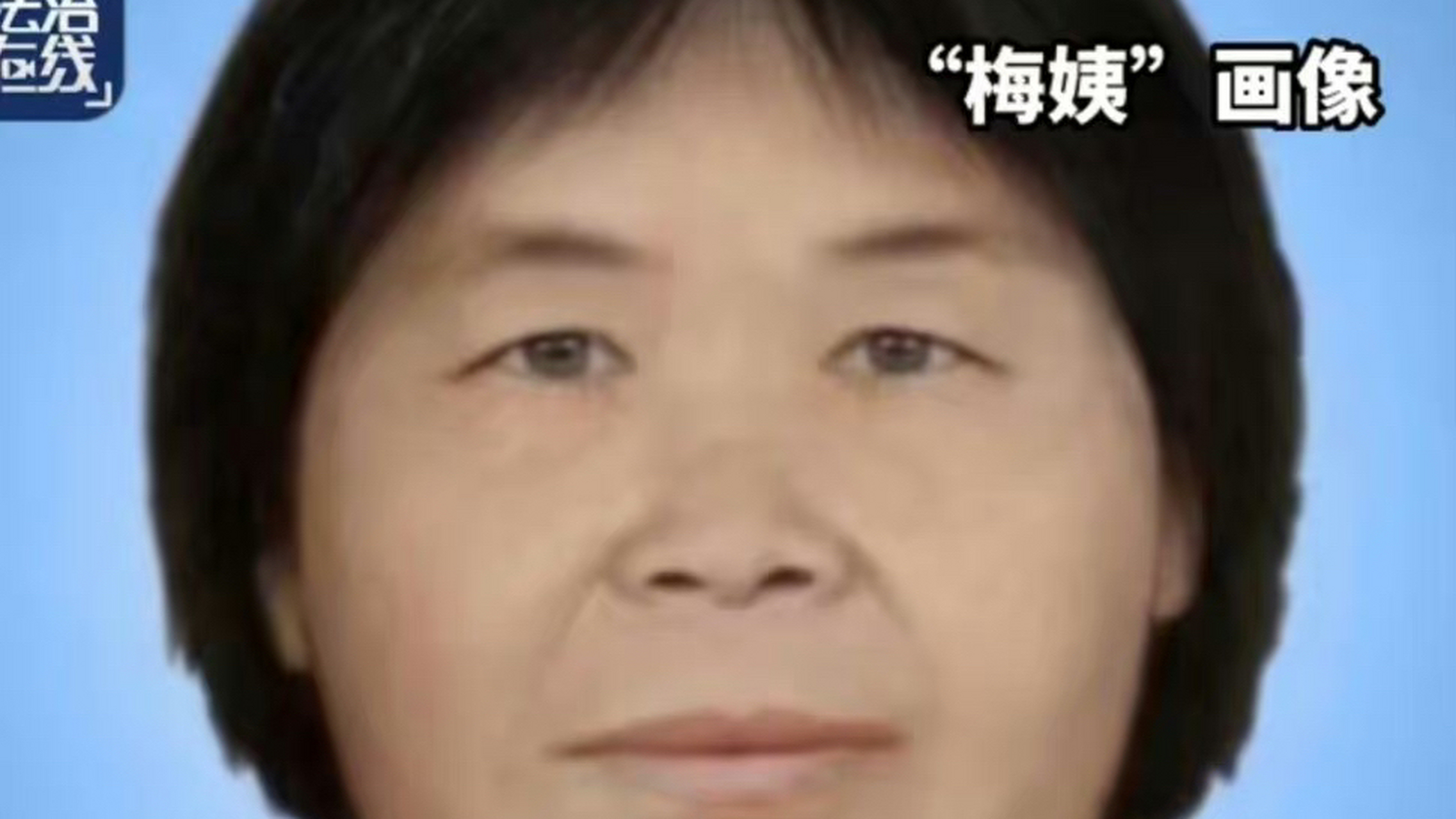 人贩子梅姨落网