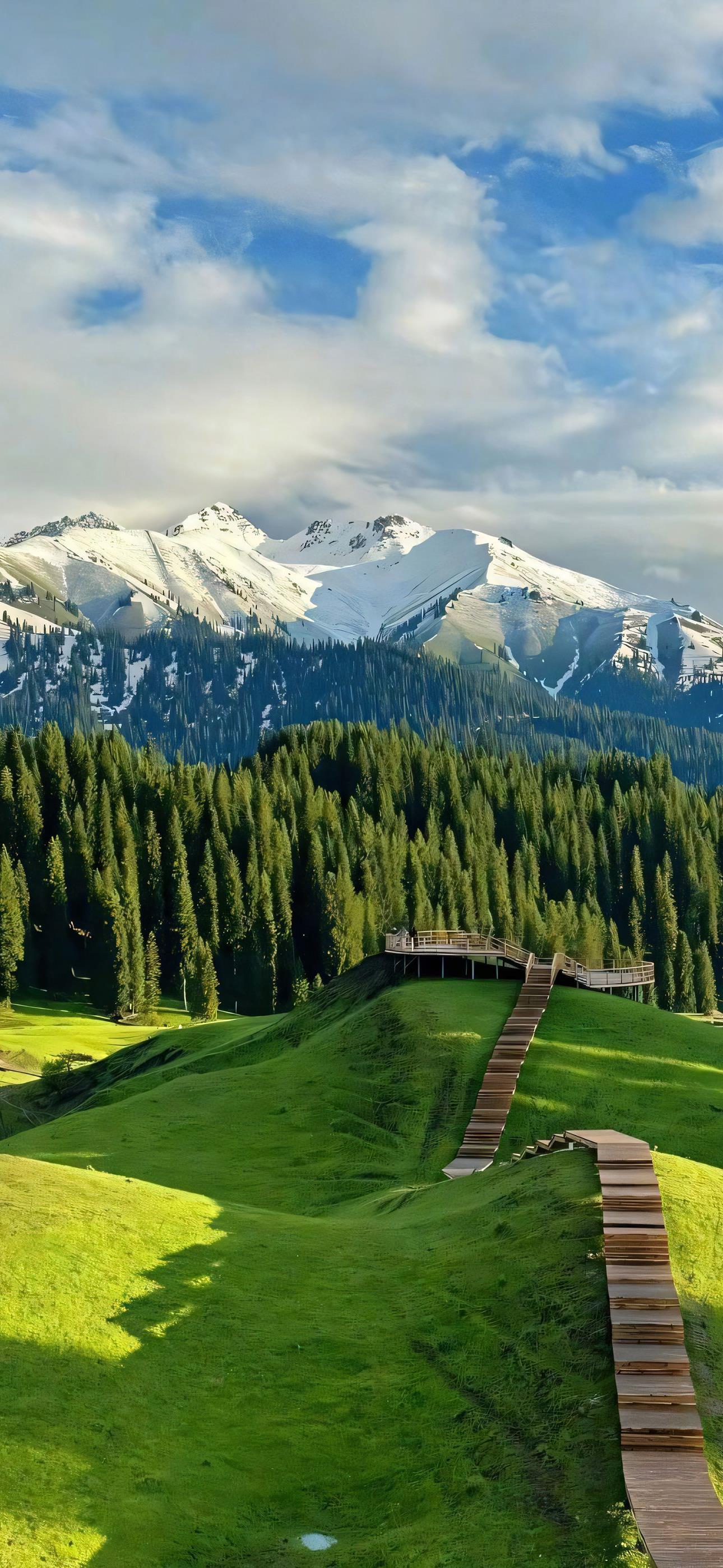 这片绿色草地简直是人间仙境!