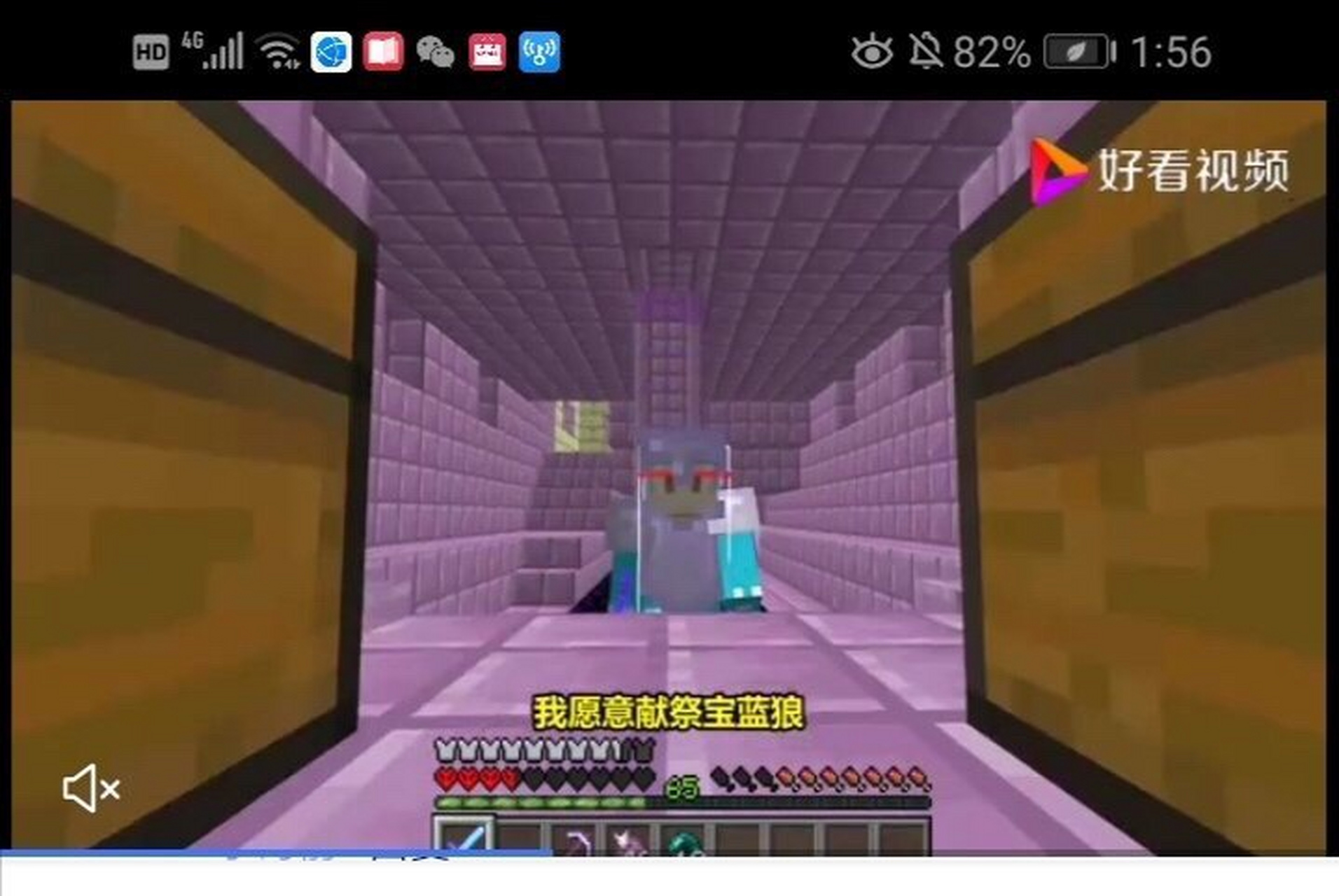 昨天下午没想到水周认识宝蓝狼!(宝蓝娘)