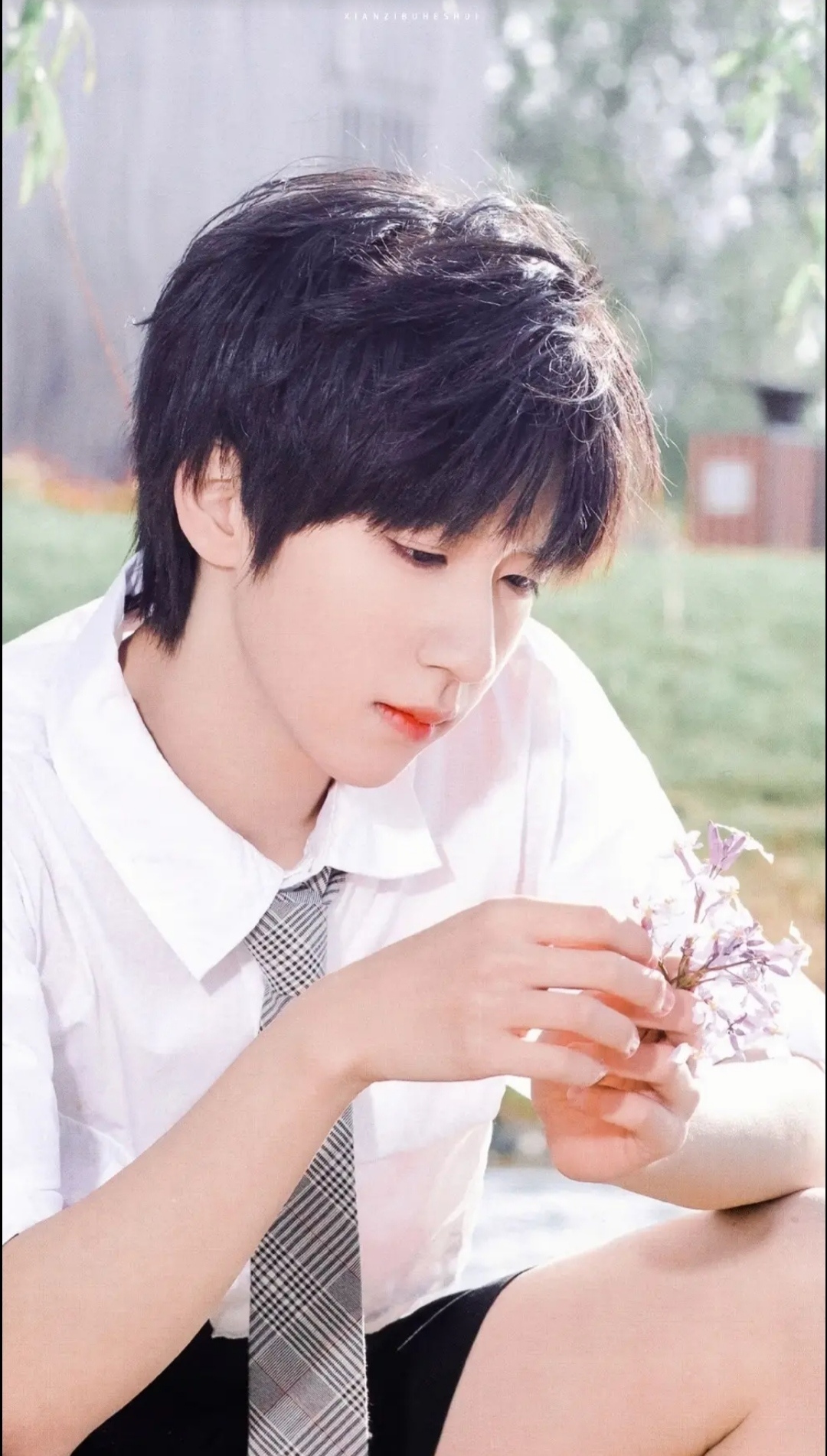 贺峻霖民国白月光# 贺儿的图终于来啦!