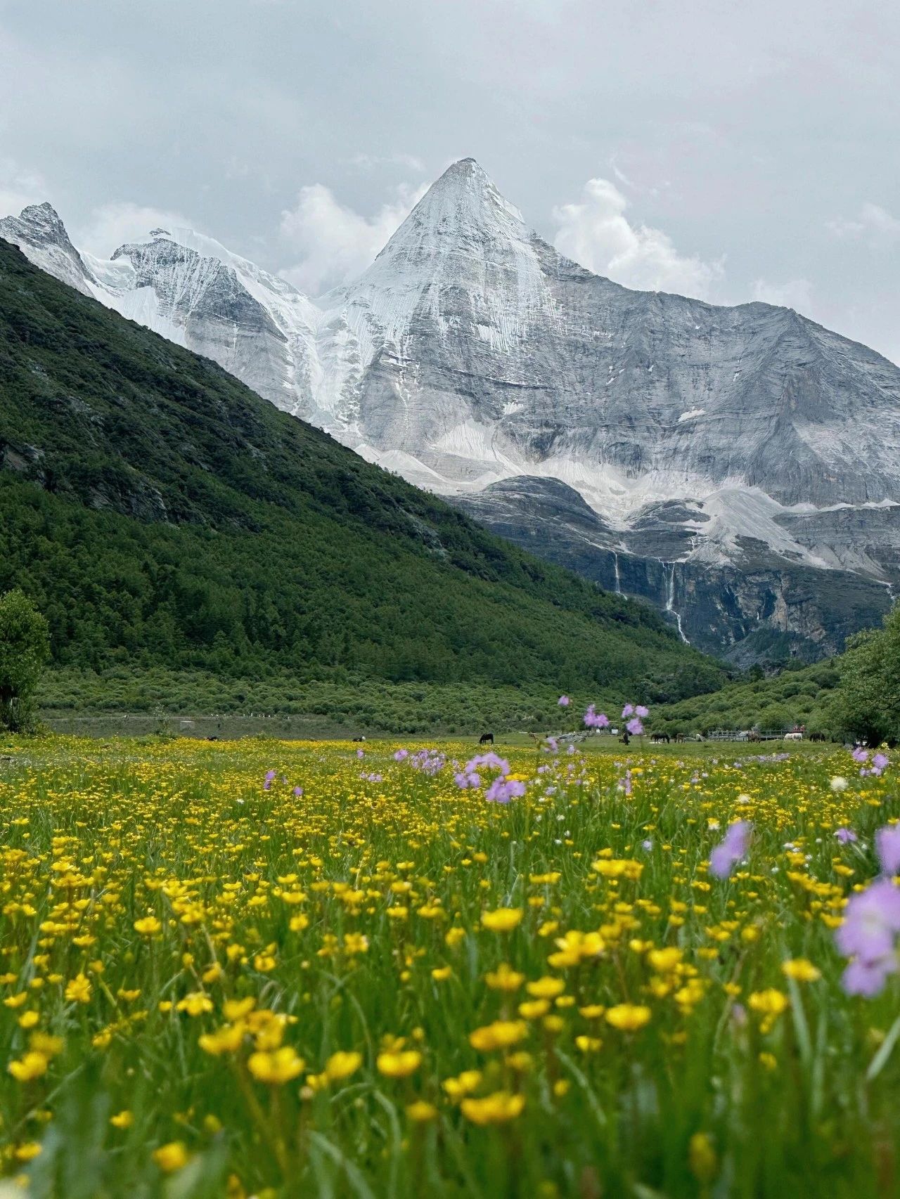 甘肃省酒泉市瓜州县