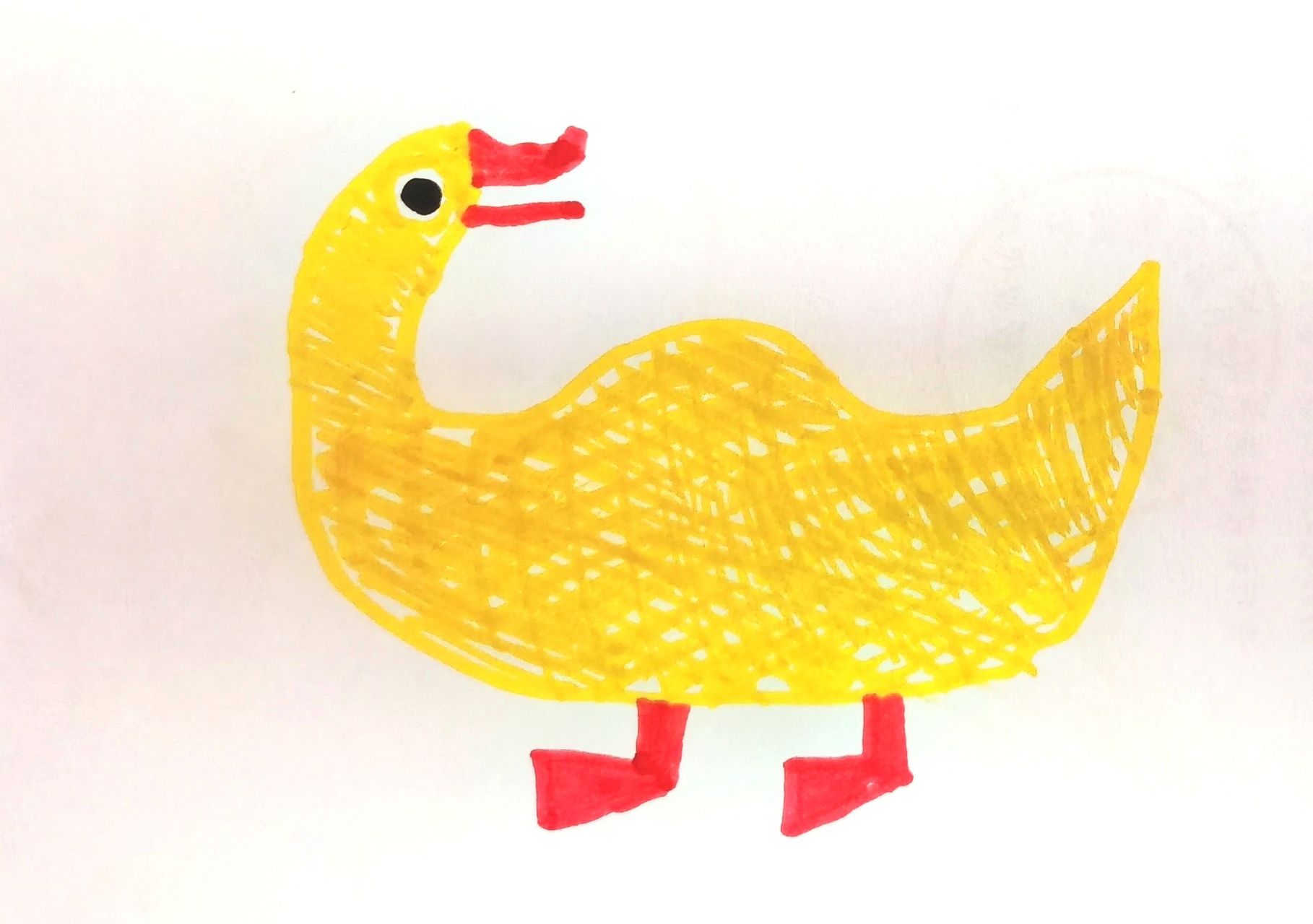 yellowduck黄鸭图片