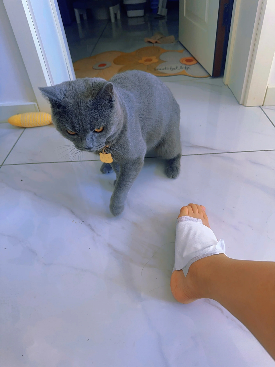 脚受伤了