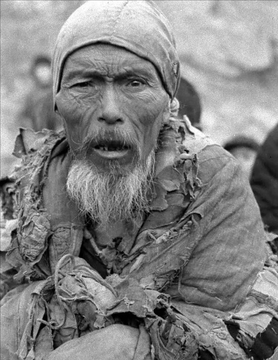 为什么古代经常闹饥荒? 不要被现在到处有树有草,一片绿色骗了