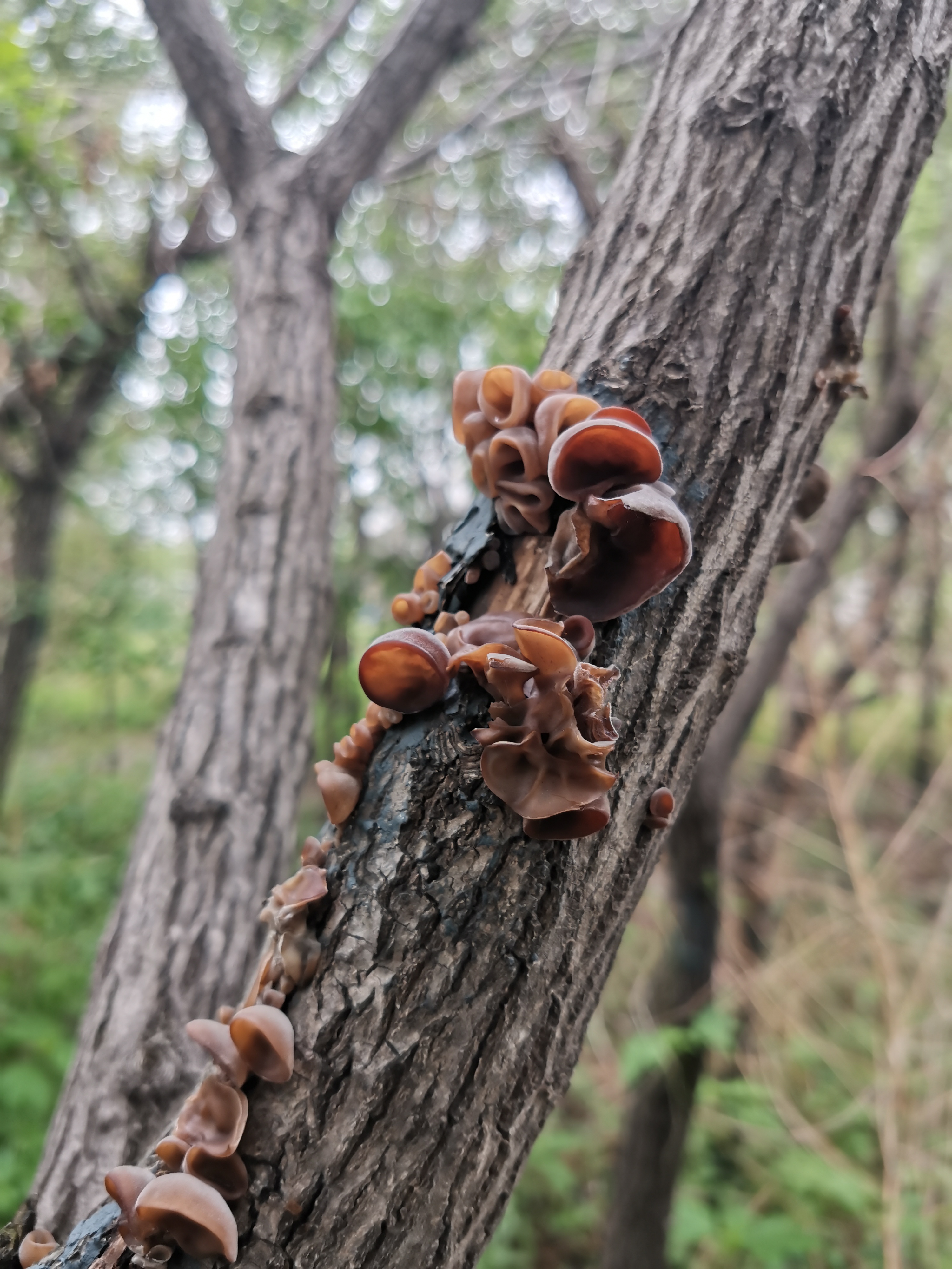 手摸雨水的图片图片