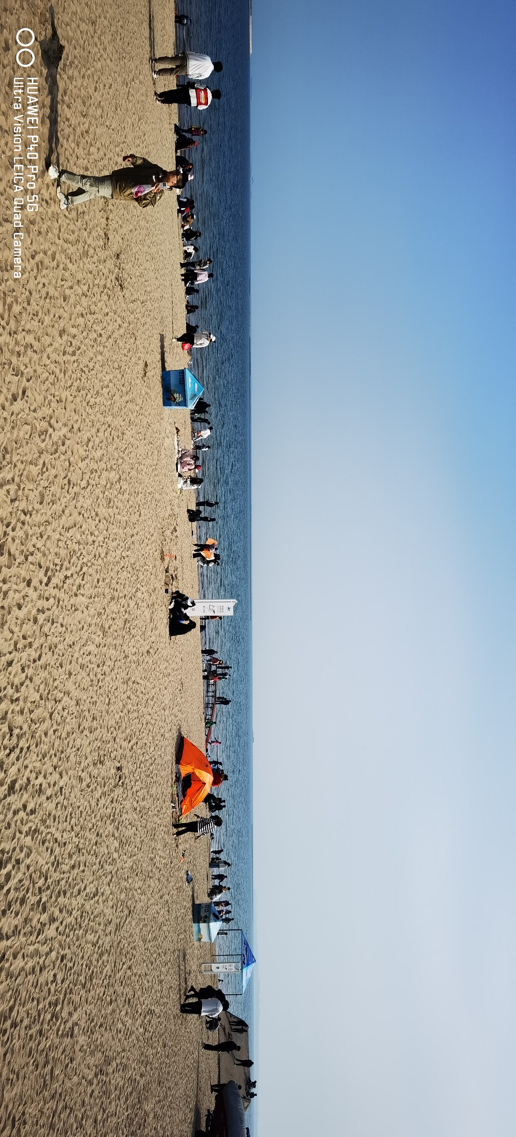 散步休闲,观花望景的人,比冬天多了很多热闹,海水却比夏天时的要安静