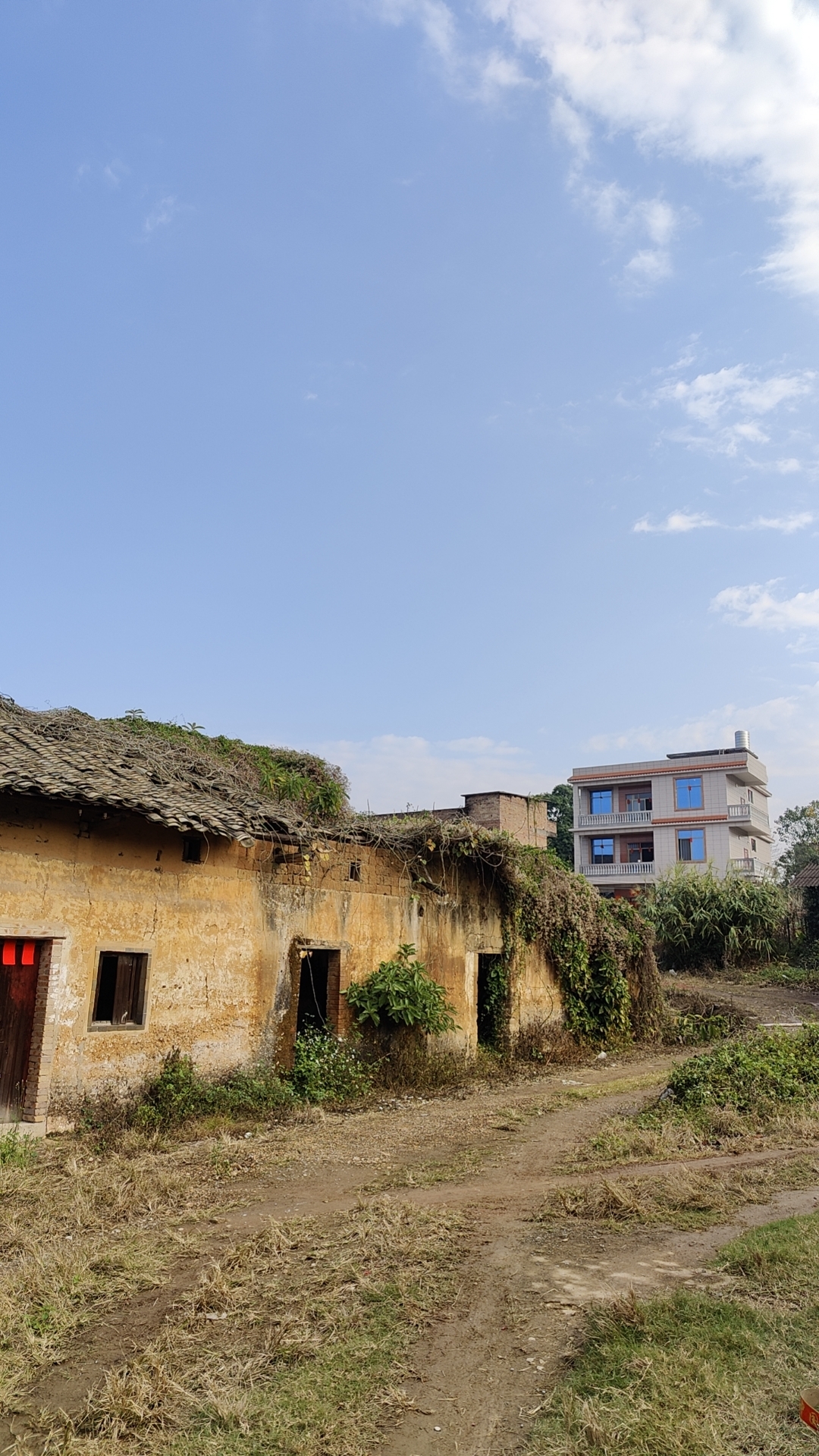 电车之狼2sj网络用语突然爆火引发全网关注，相关讨论热度持续攀升，专家分析背后文化现象，网民纷纷发表不同看法。