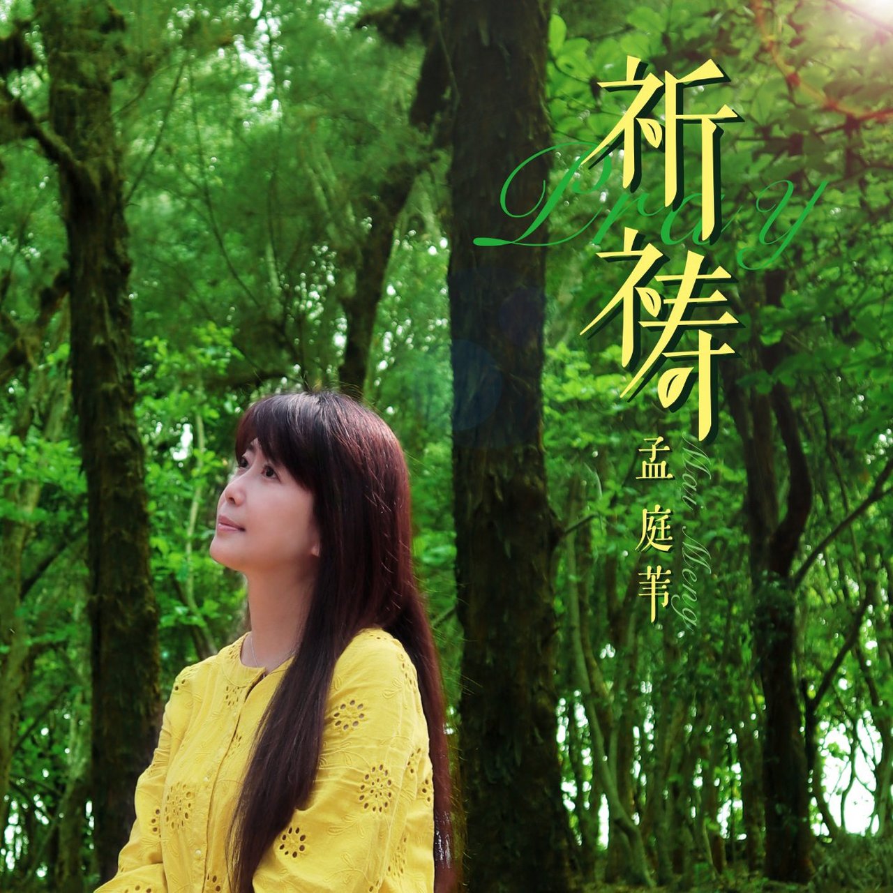 【孟庭苇工作室,北京星宸星文化传媒有限公司】制作出品 词:翁炳荣