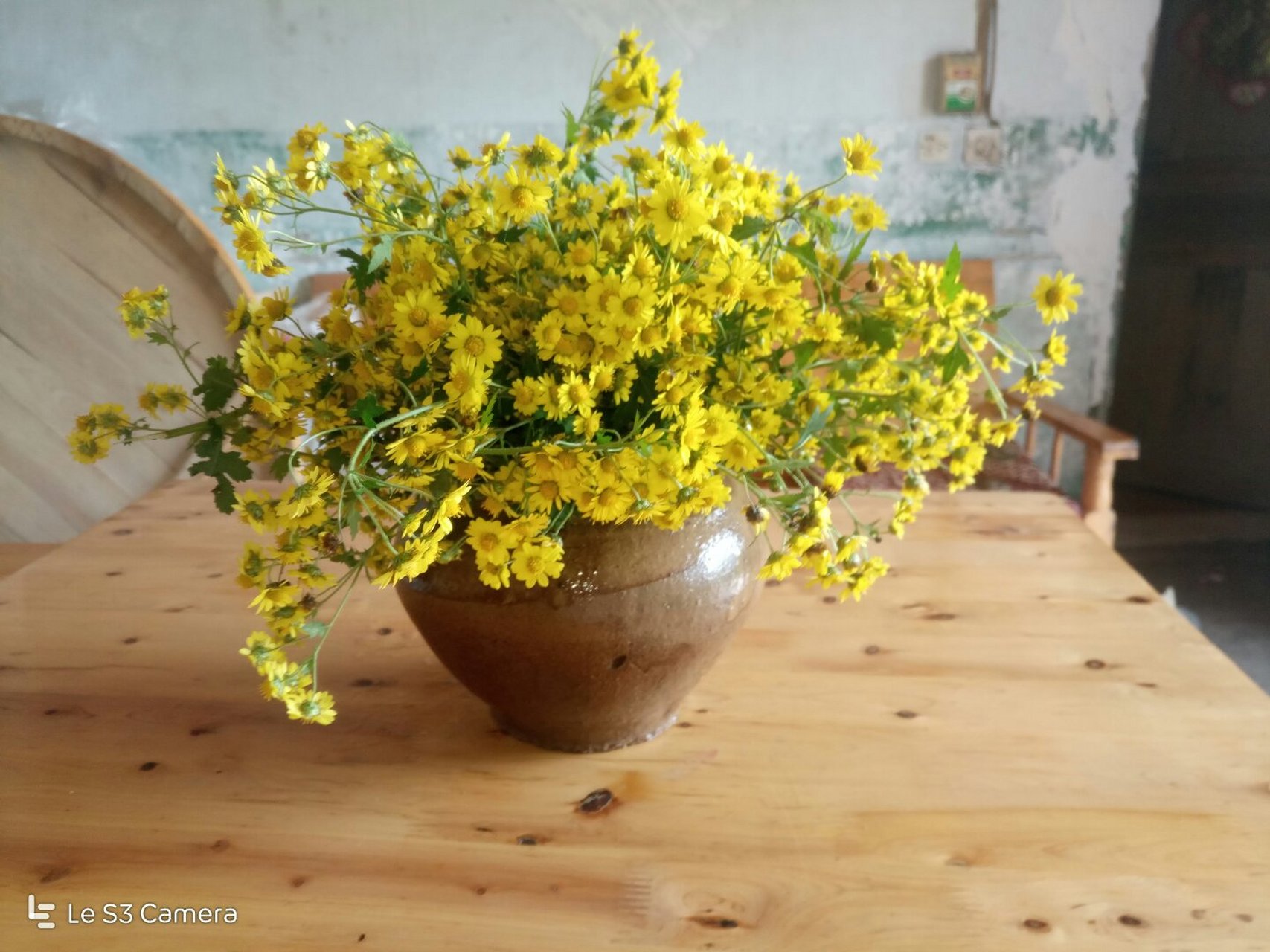 to:  《烦忧》是戴望舒早期作品,这首小诗最大的特点,便是其回旋复沓