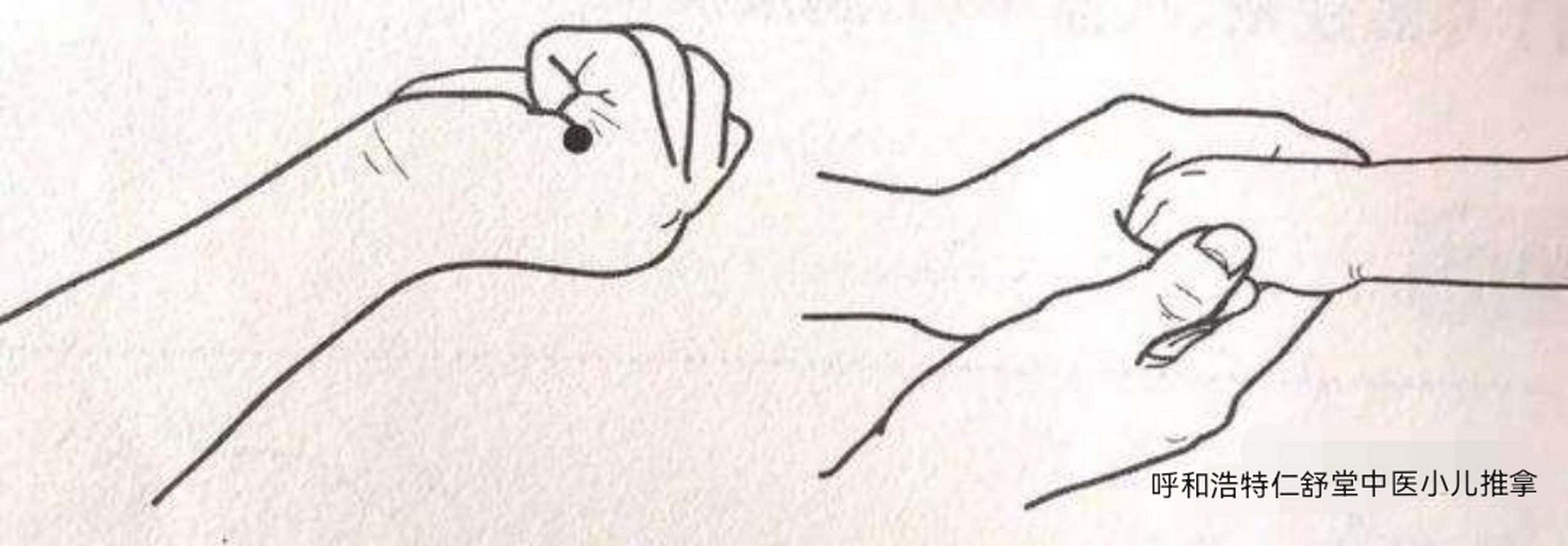 小儿推拿小横纹的功效,作用与手法  【功效】化痰止咳,清利湿热.