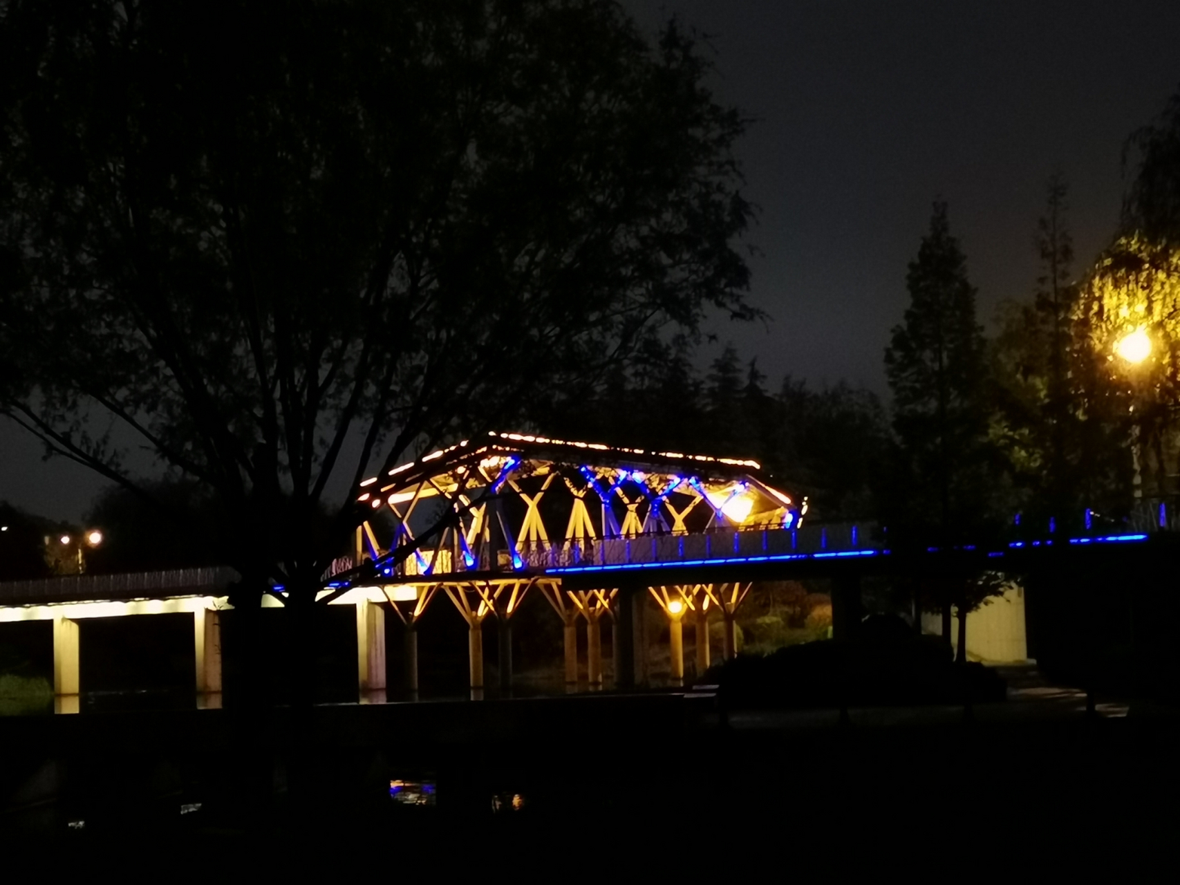 夜色下的青岛李村河,灯火阑珊处,美人在哪里?