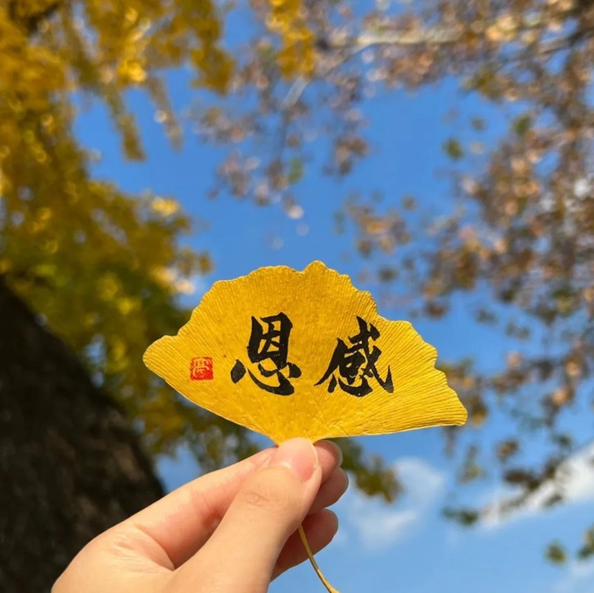 我们要时刻保持一颗感恩的心,去发现生活中的美好和吉祥,让它们成为