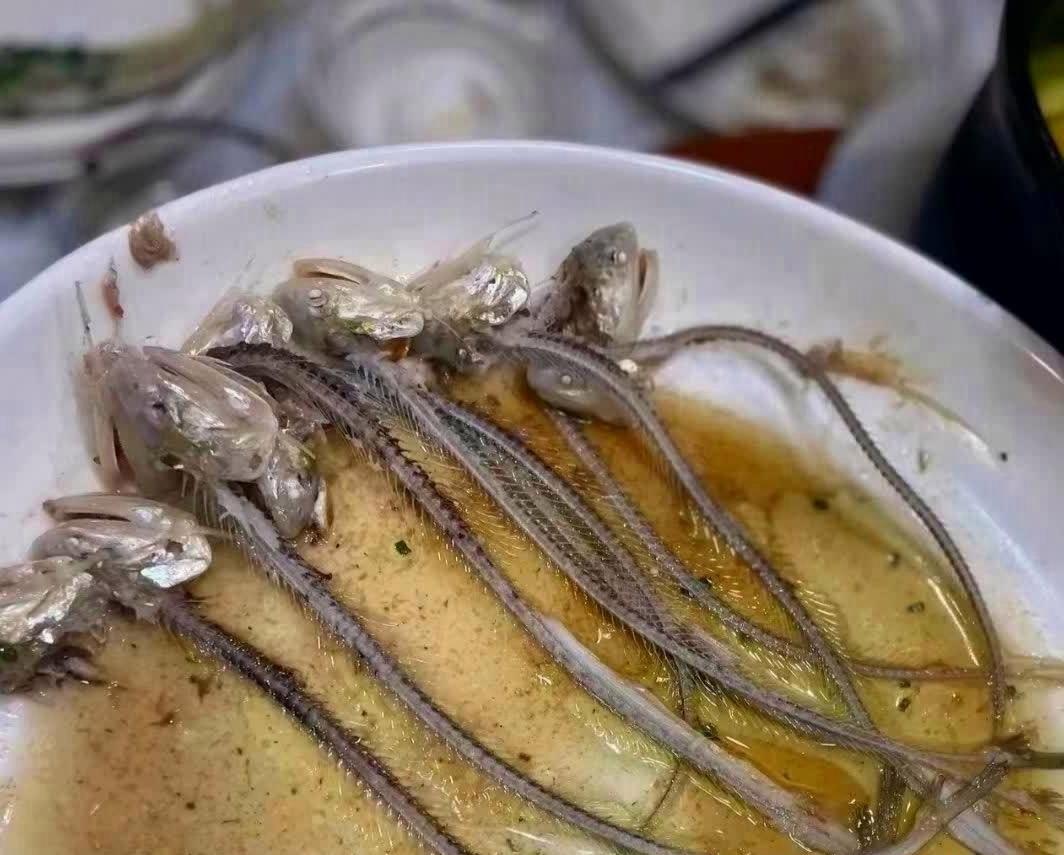 中午妈妈做的条子鱼,吃得那叫一个干净,女儿吃得也很有水平,妥妥的剩