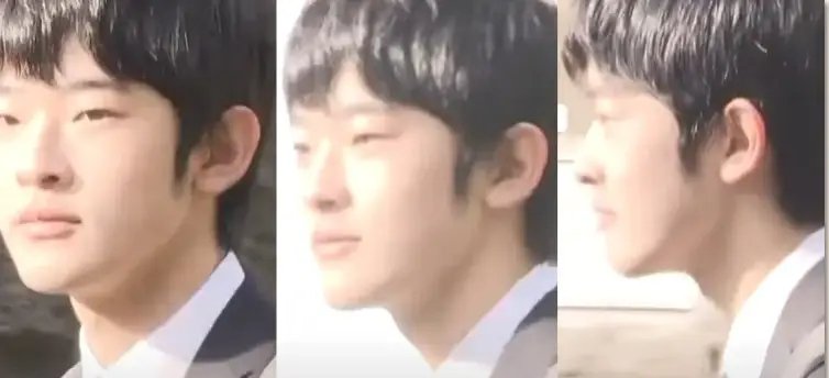 日本皇室独苗悠仁亲王的一举一动老是引人注目,可最近一桩替身风波却