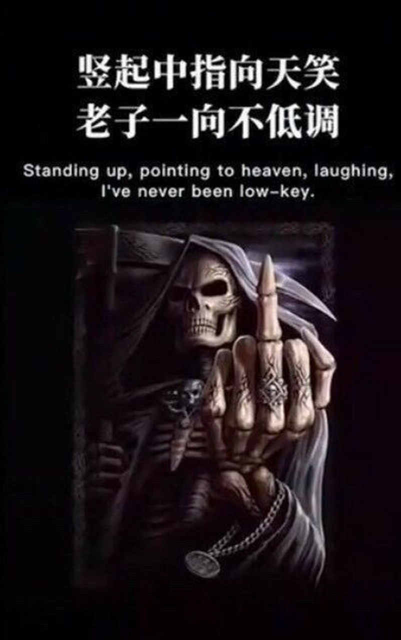 真国际友好手势