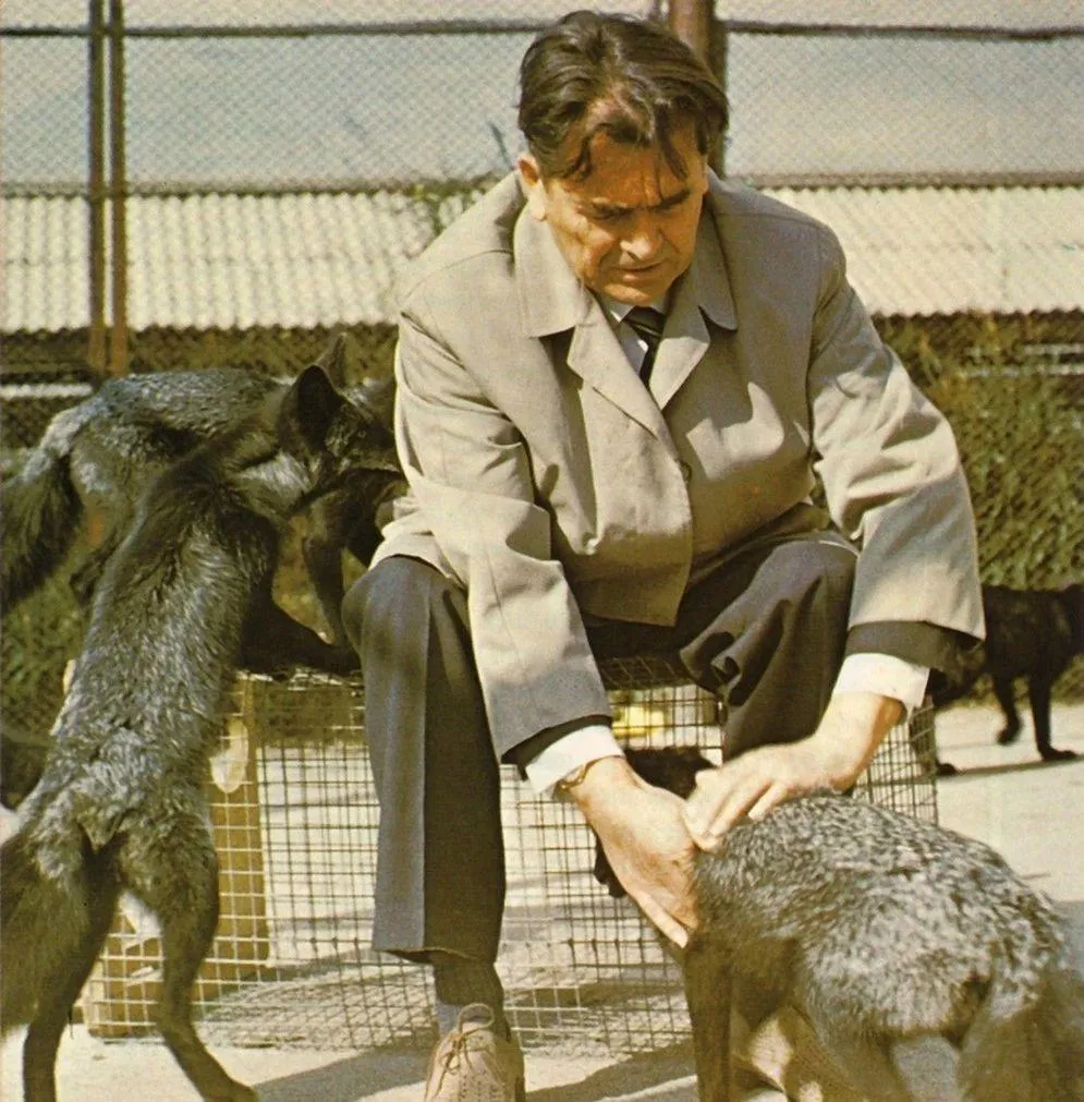 一位前苏联遗传学家曾经做过一项独特的实验,他把一