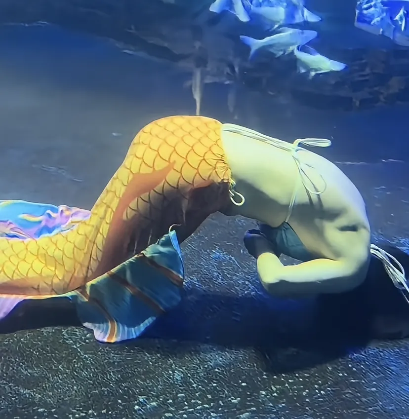 一大群人在外面看着美人鱼溺水,其它的美人鱼表演者似乎没有发现这条