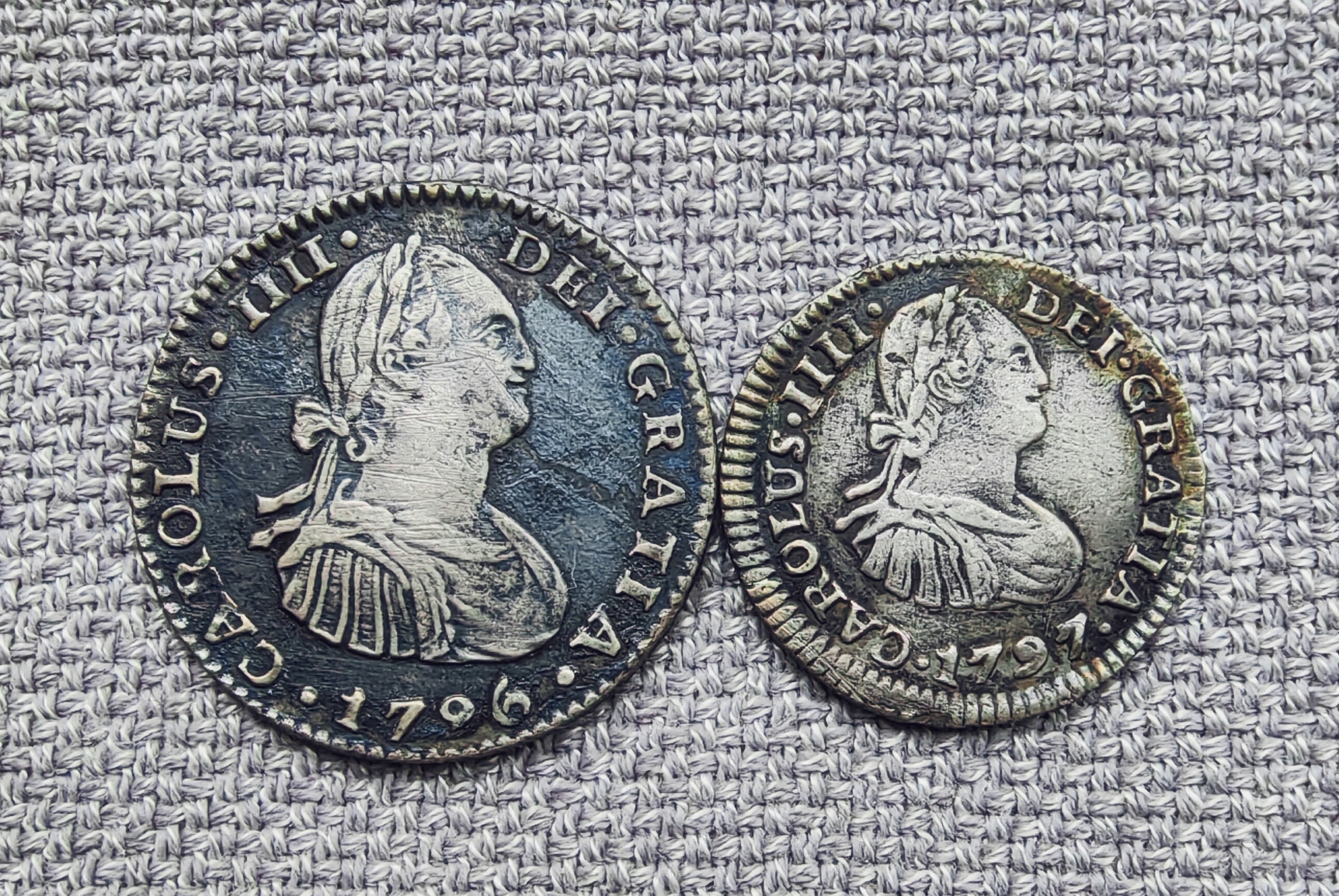 外国的小银毫子[嘻嘻]