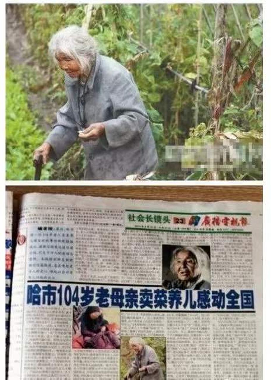 哈尔滨《新晚报》,《广播电视报》等媒体报道:《哈市104岁老母卖菜