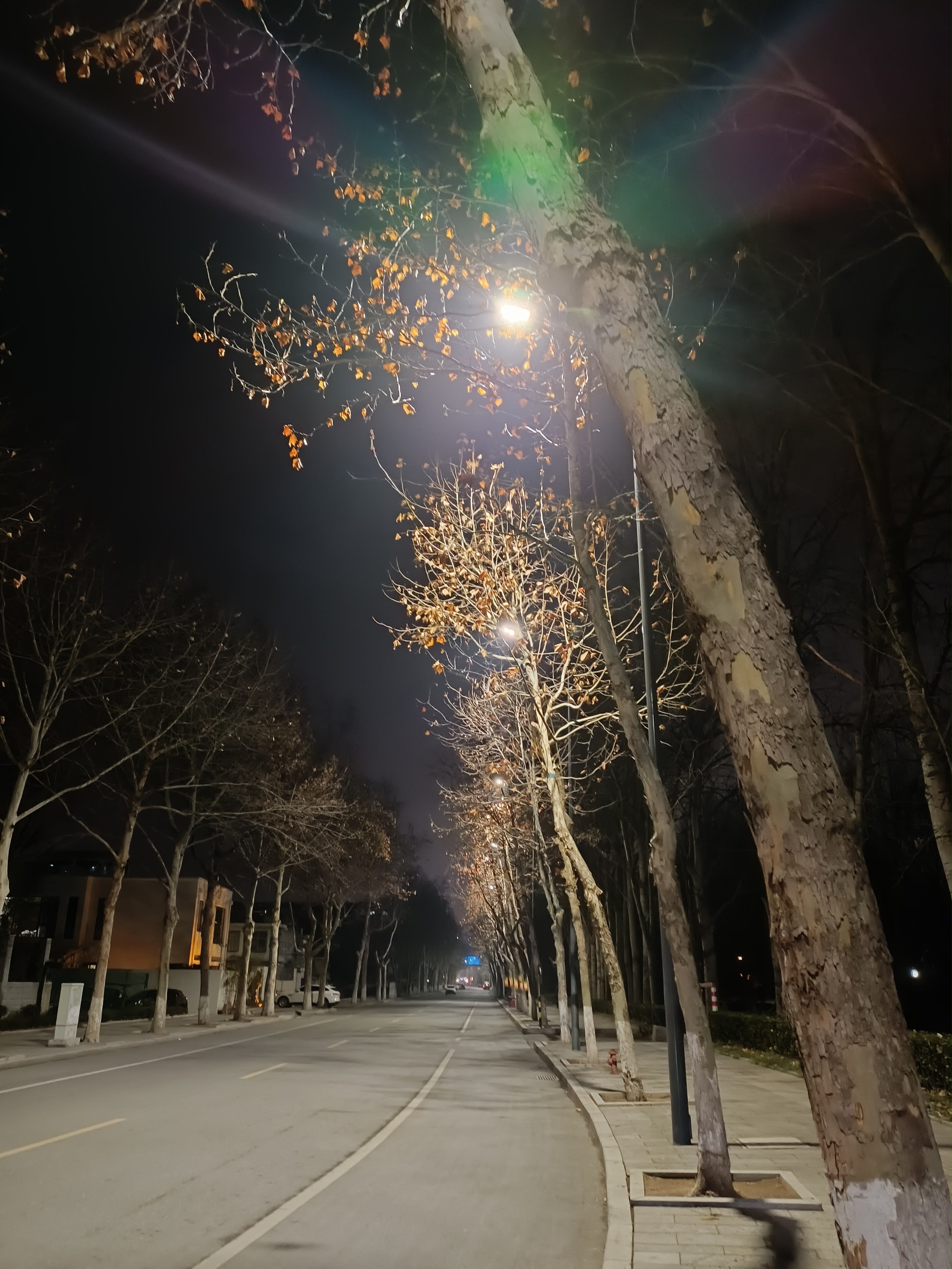 [牛福到]路边的灯光温暖冬夜晚归人回家的脚步 #记录我的打工日记