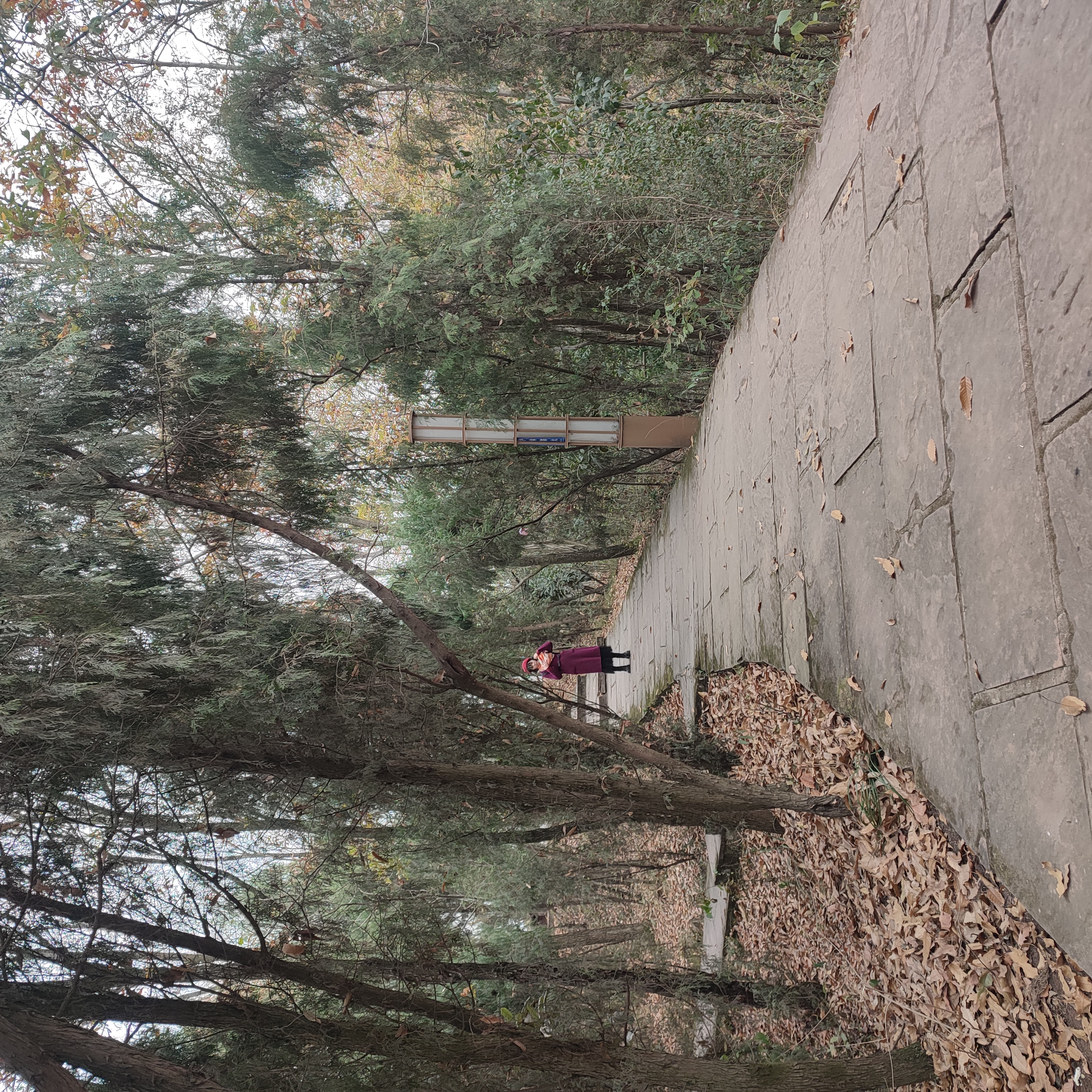 龙泉驿紫霞山图片