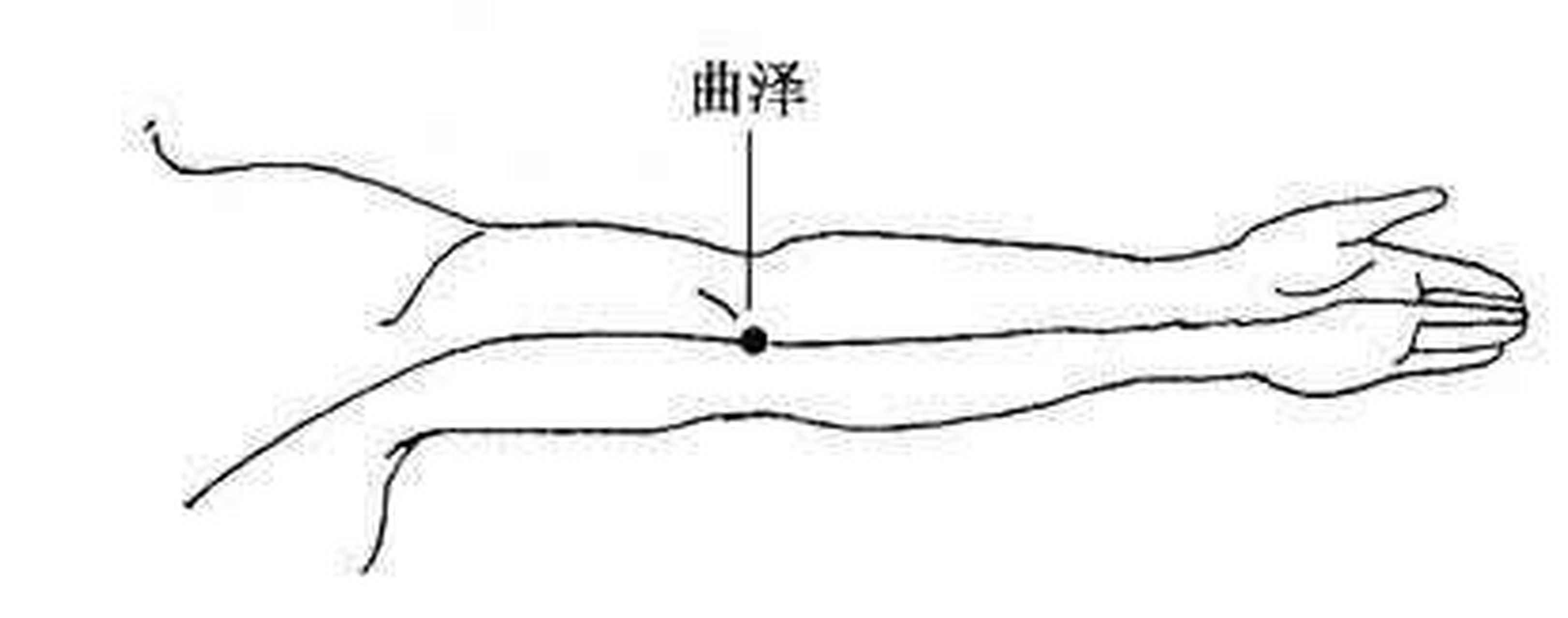 曲泽 少海图片