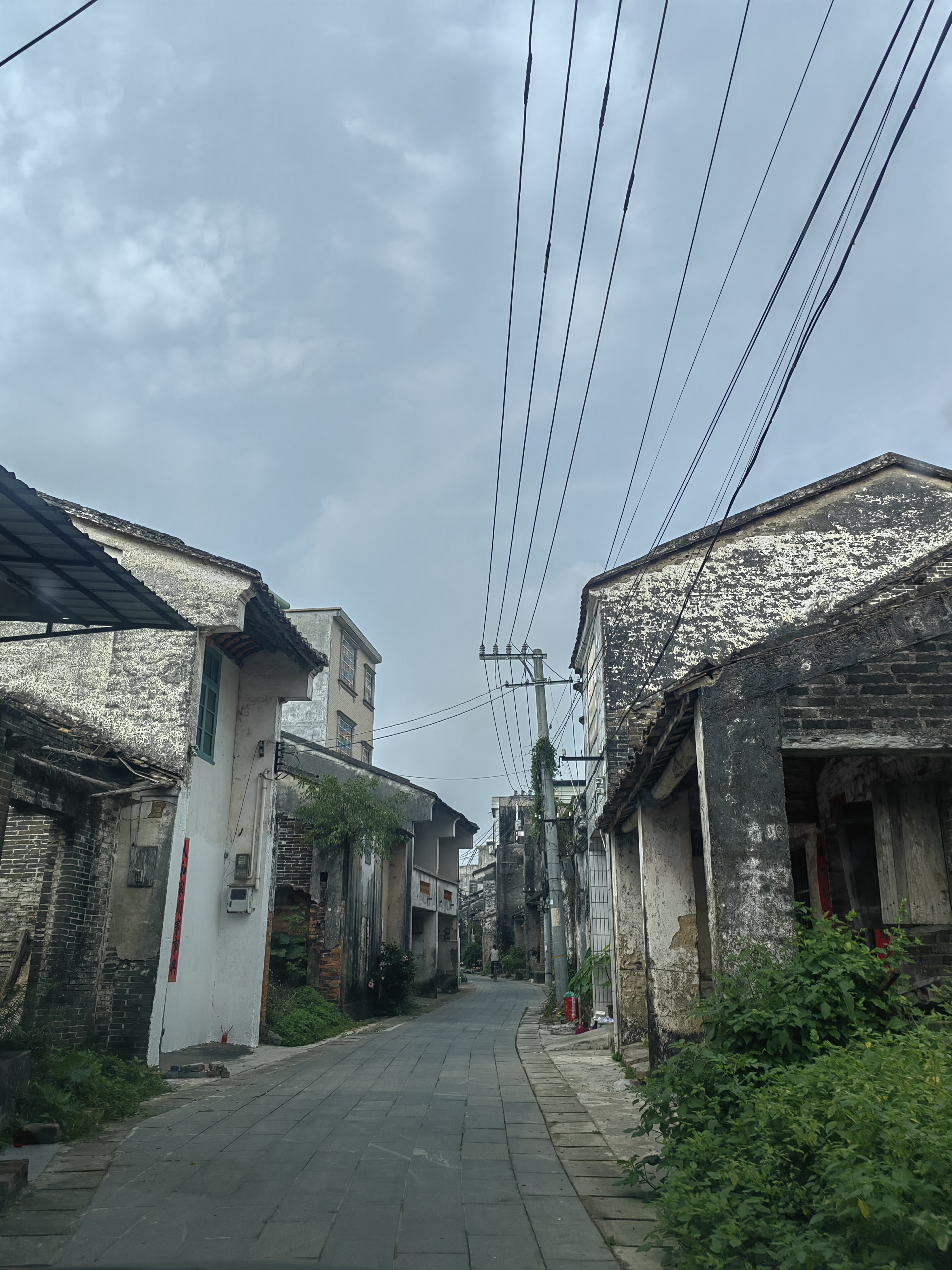 古雷港区霞美镇的未来图片