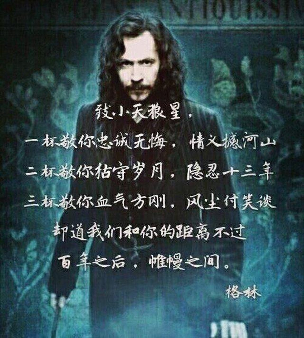 永远的小天狼星