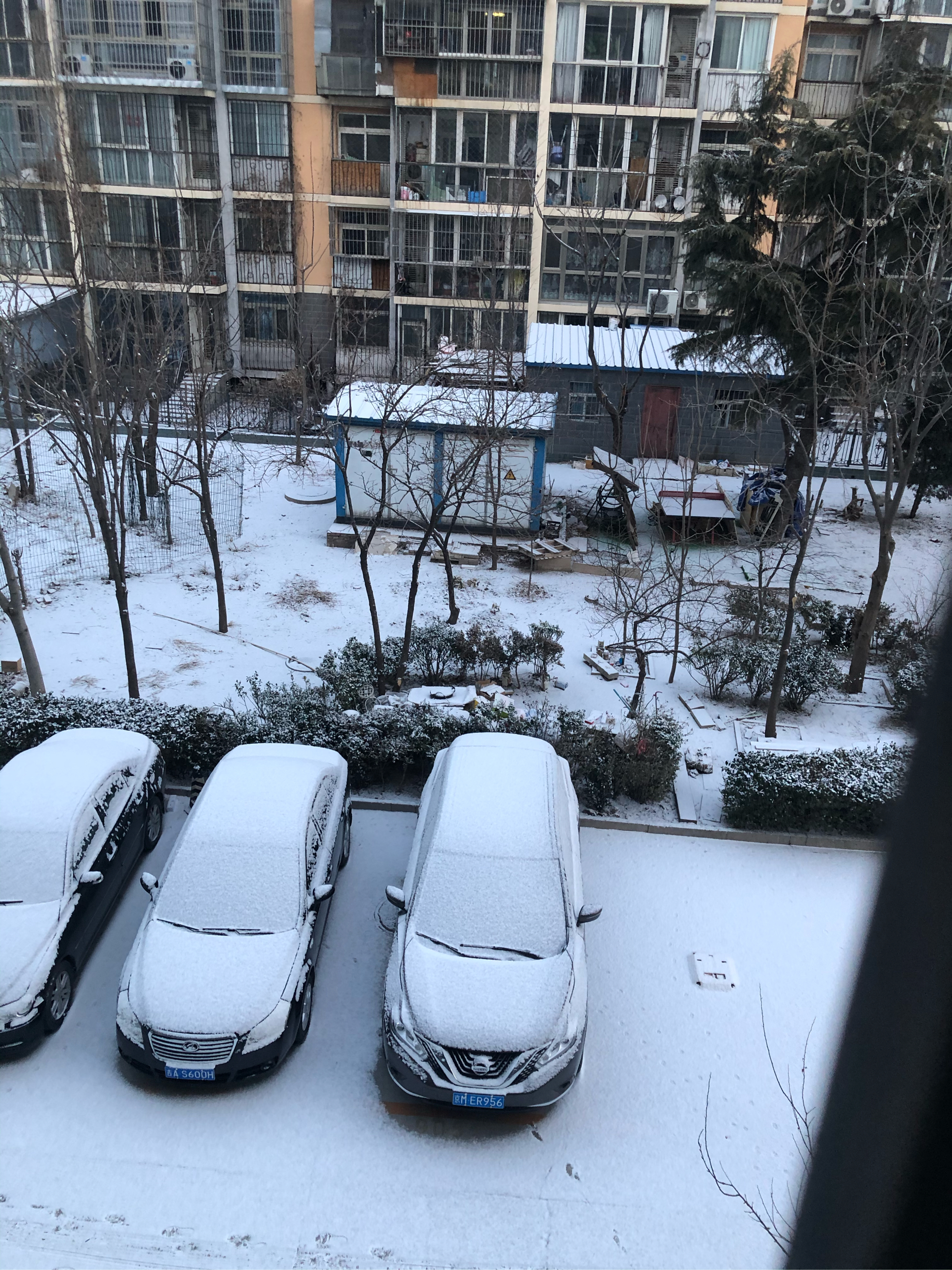 窗外雪景 实拍图片